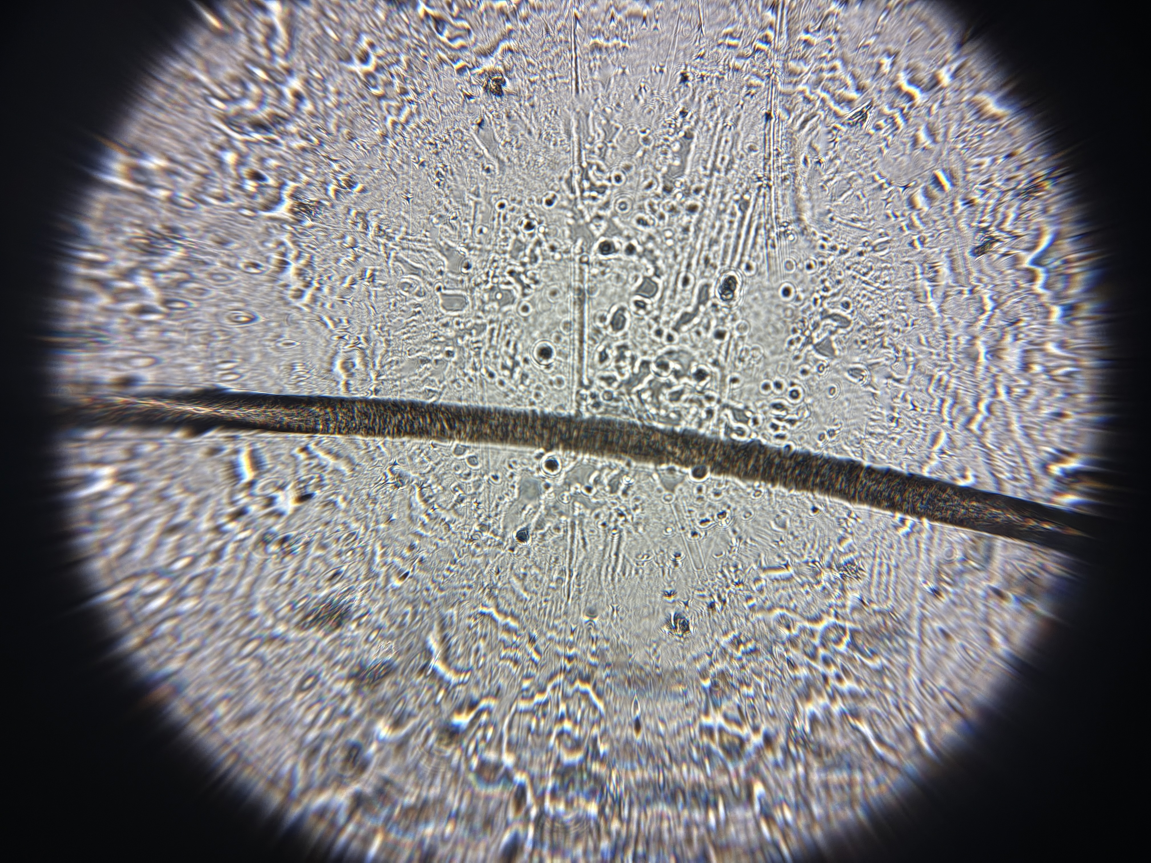 post_media%2F8zwFauxfdMONJS4hNkLMb4OmNF92%2Fnopid%2Fsvdp04y77m_IMG_4764.JPG?alt=media&token=e7498c72-a0e9-4f3b-a2b1-bfd09d3892c5