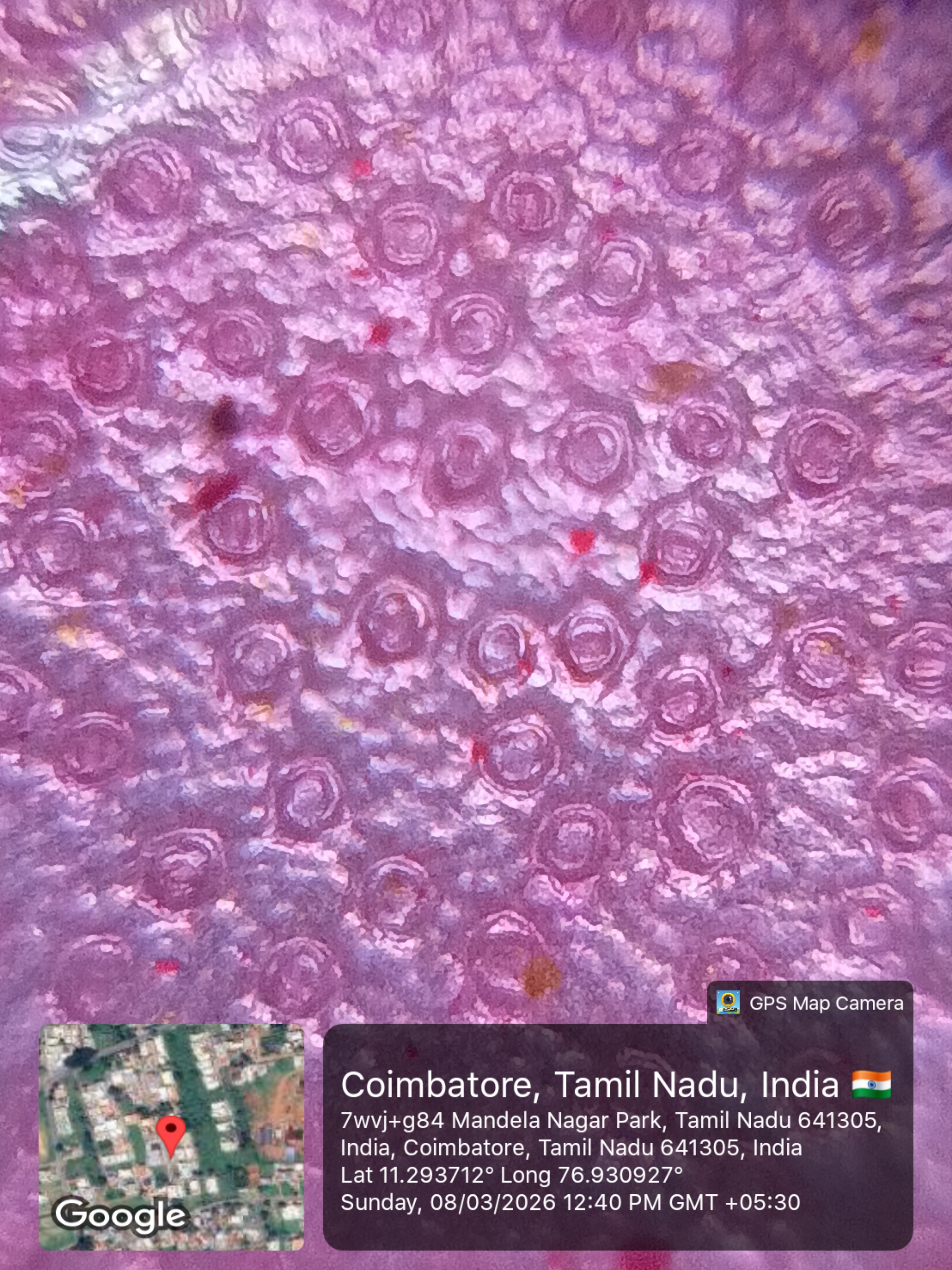 post_media%2F904%2Fnopid%2F0rgbw0wpa9_20260308_124005PMByGPSMapCamera.jpg?alt=media&token=6b176f99-ba4d-4913-a3f5-bdbb0edb13e5