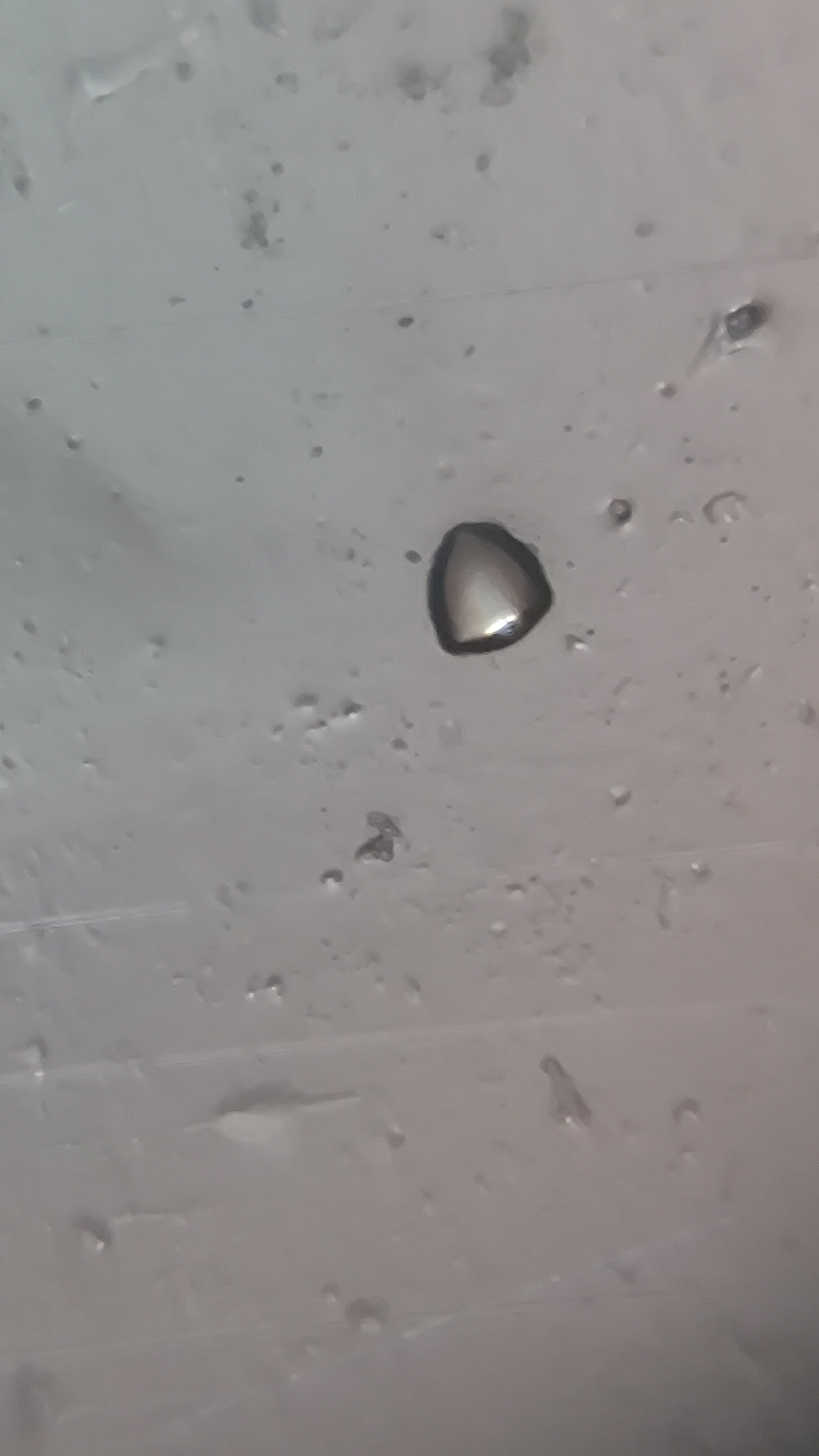 post_media%2F904%2Fnopid%2F1oi9tgpqlk_IMG_20260403_151817.jpg?alt=media&token=1b526a98-cf4d-4860-9da1-b6ba910534d5