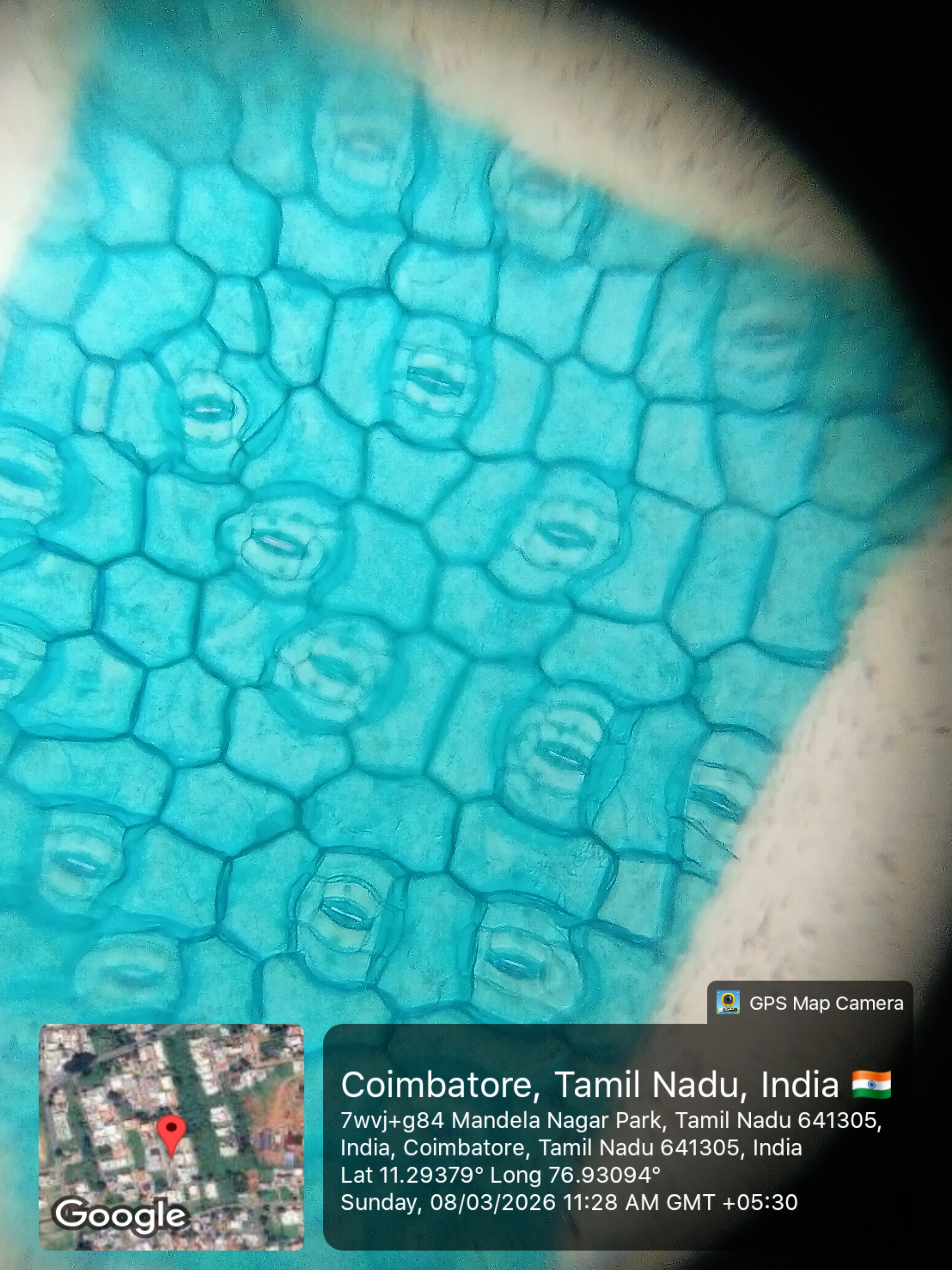 post_media%2F904%2Fnopid%2F2fjb3c8bjk_20260308_112835AMByGPSMapCamera.jpg?alt=media&token=9ba3d500-a163-4b1c-af97-a26f1792a883