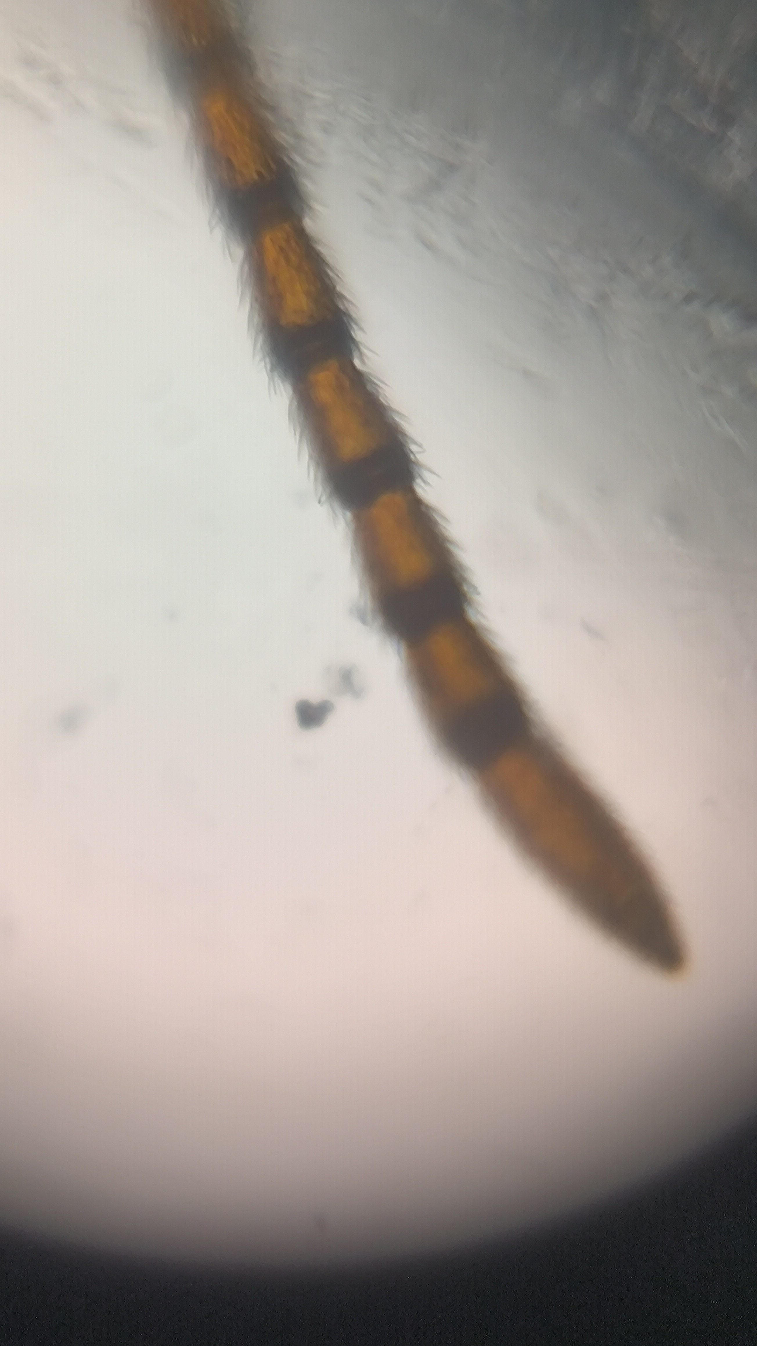 post_media%2F904%2Fnopid%2F3gr9yvd4gg_IMG_20260408_164149.jpg?alt=media&token=3525cc80-8f7f-4d84-a56e-b29c9737b869