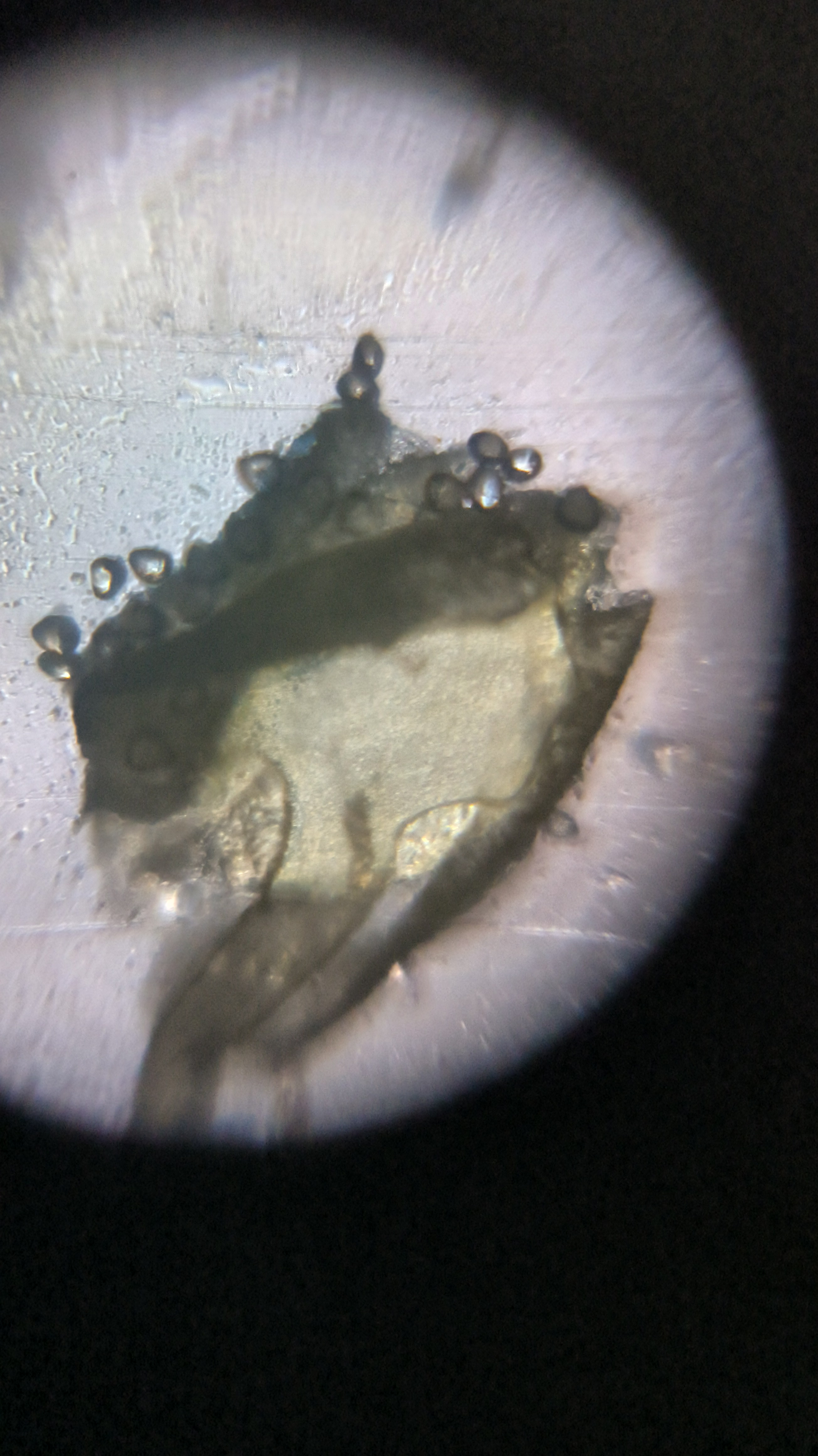 post_media%2F904%2Fnopid%2F3qxahk8tnr_IMG_20260403_151537.jpg?alt=media&token=a0babf61-f166-4cf7-9c1d-756ef848b75e