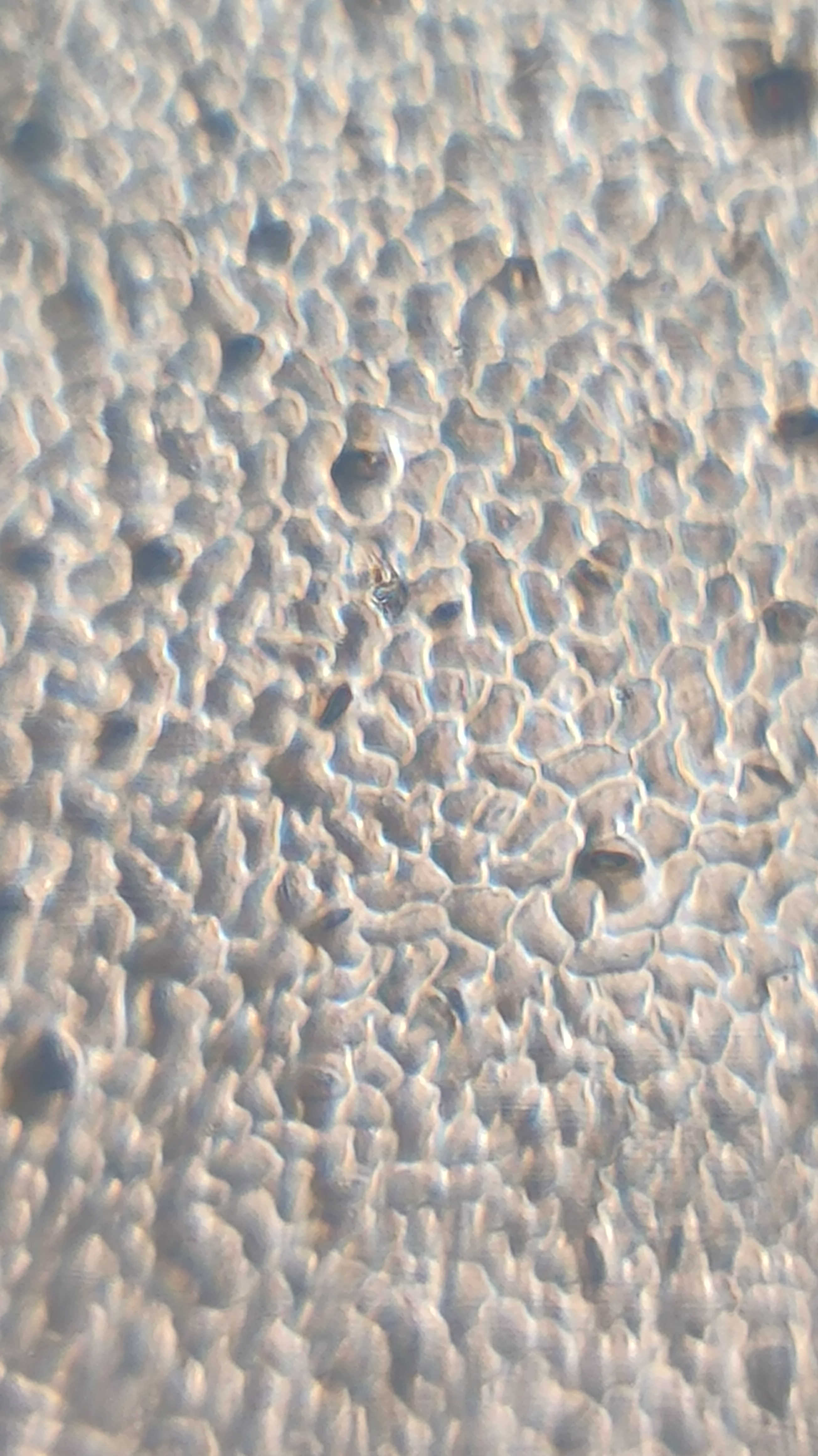 post_media%2F904%2Fnopid%2F4w2lspv65p_IMG_20260401_161316.jpg?alt=media&token=5ffa9a6e-7375-427f-b172-fc2b5788fa52