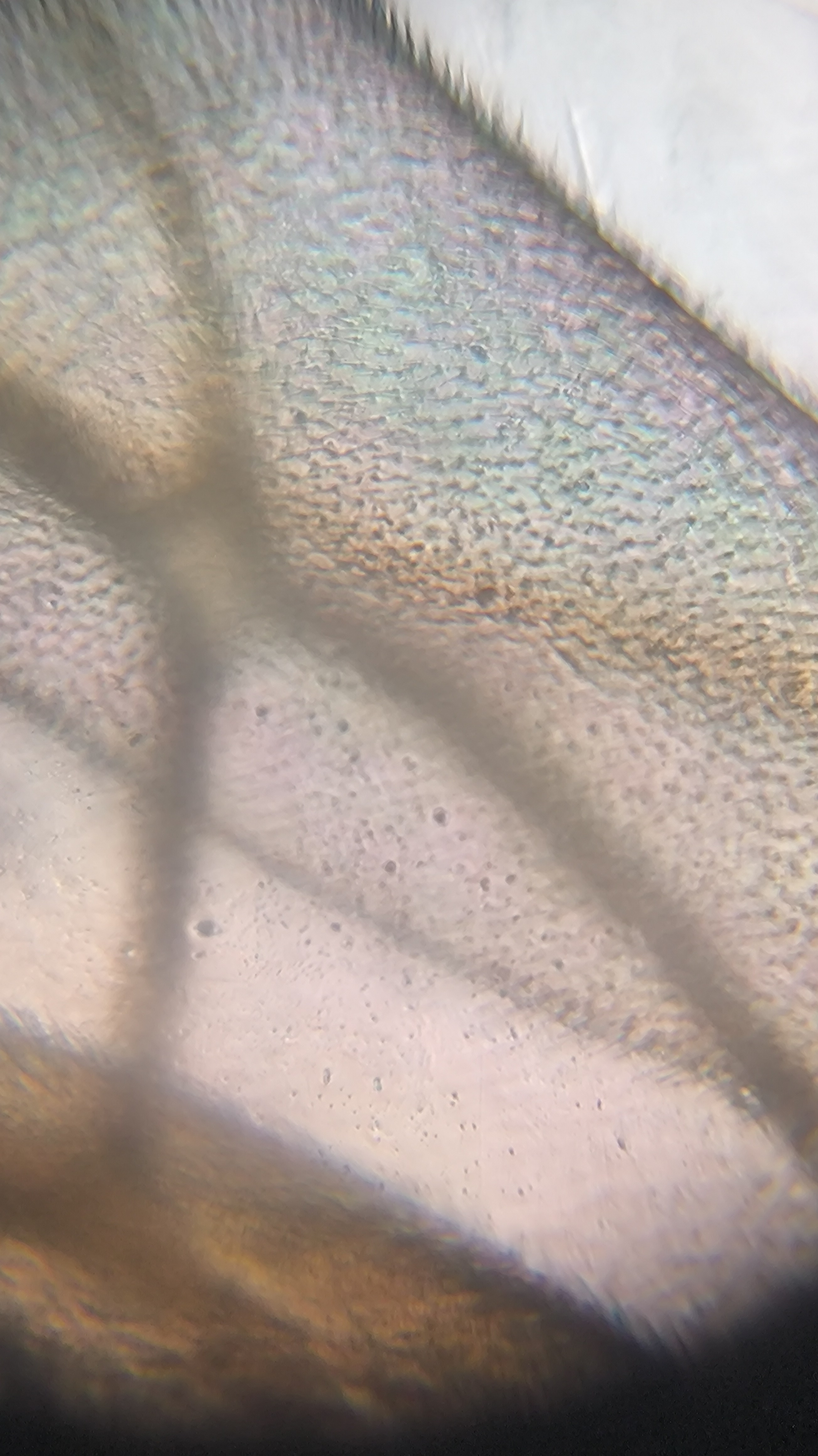 post_media%2F904%2Fnopid%2F5rq6n7j0g8_IMG_20260408_155618.jpg?alt=media&token=6d4a9712-bd2d-4f43-8adf-e3ec0125d2d9