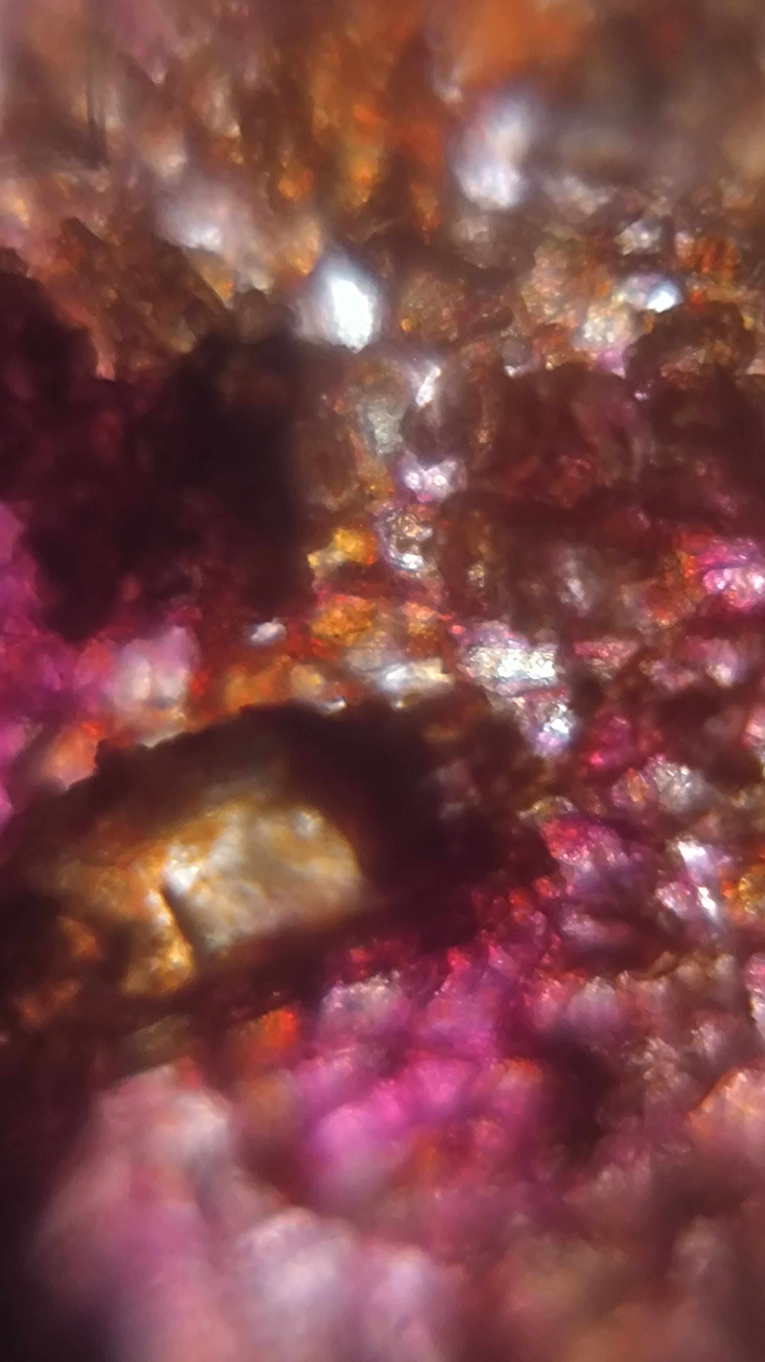 post_media%2F904%2Fnopid%2F6c35wwevow_IMG_20260408_144822.jpg?alt=media&token=b315e1aa-cff6-41a5-b910-6fa300f0bf2e