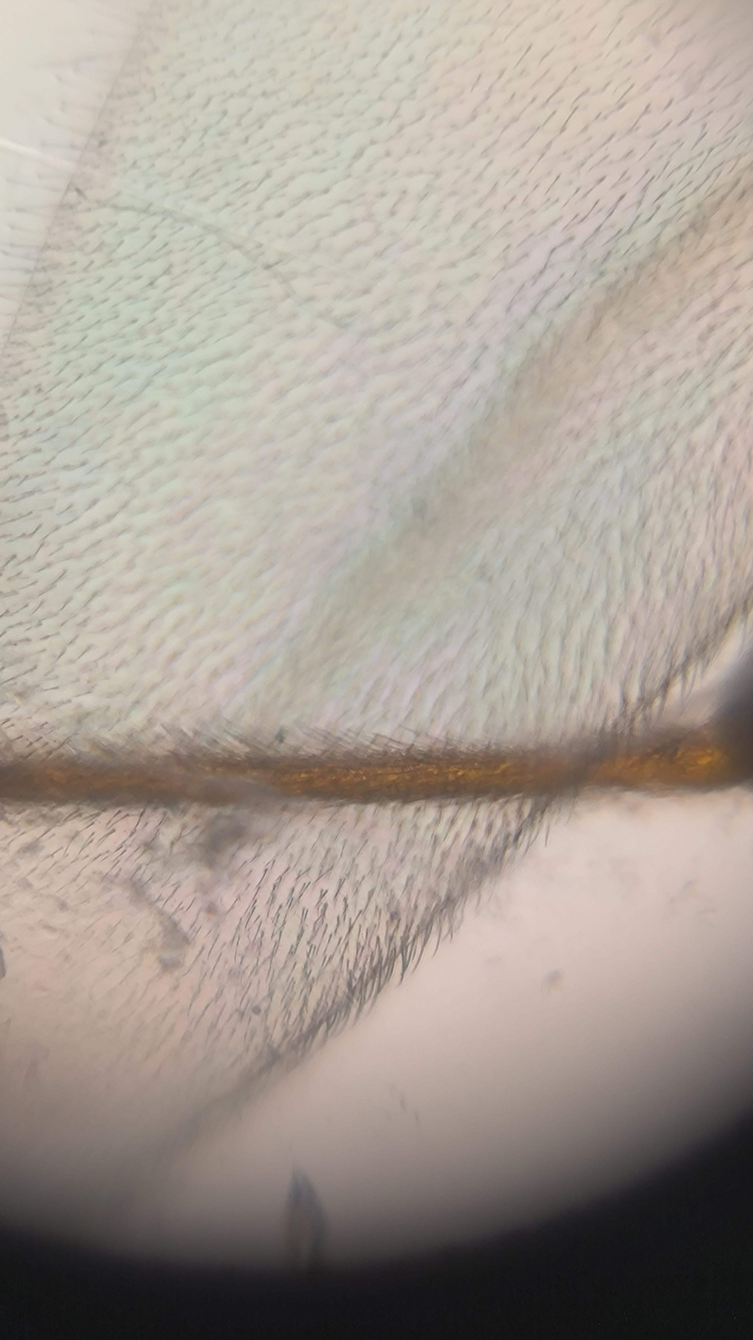 post_media%2F904%2Fnopid%2F748ofbrw3c_IMG_20260408_155814.jpg?alt=media&token=c2e623aa-181a-460a-8ea1-529b262ecca4