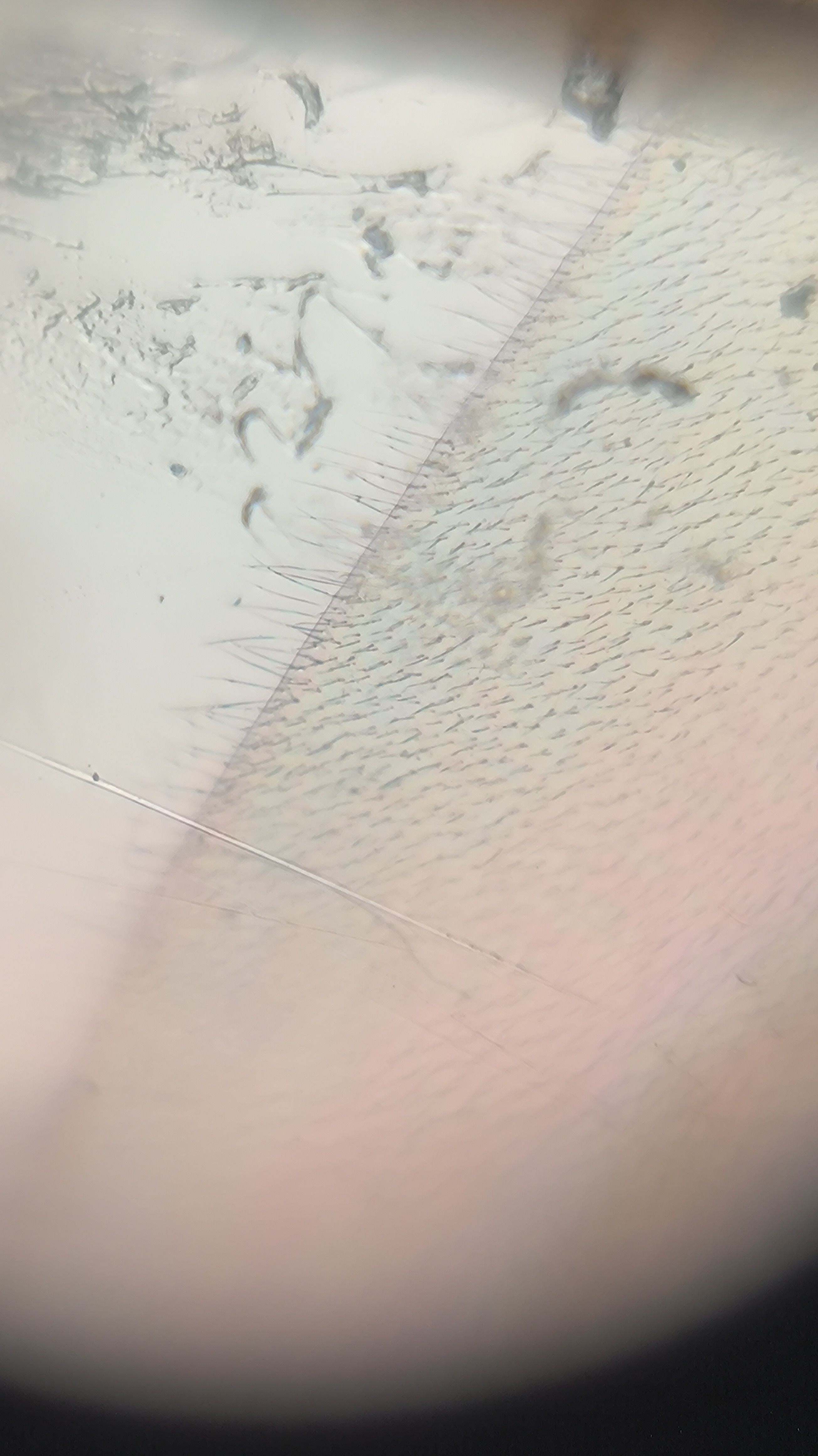 post_media%2F904%2Fnopid%2F8llufjmv6r_IMG_20260408_155750.jpg?alt=media&token=740b2fac-9abb-46e1-b012-cb24677ba088