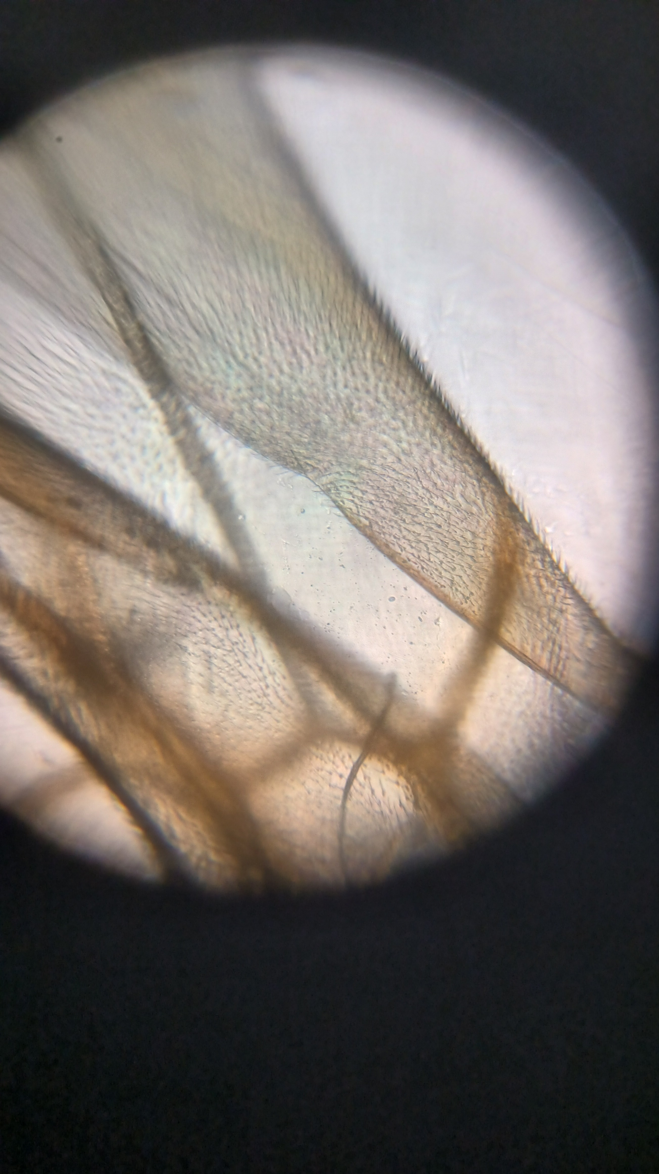 post_media%2F904%2Fnopid%2F8mscbfukjo_IMG_20260408_155511.jpg?alt=media&token=8e17ed6b-24dd-4f8c-baa3-a6311ab2d373