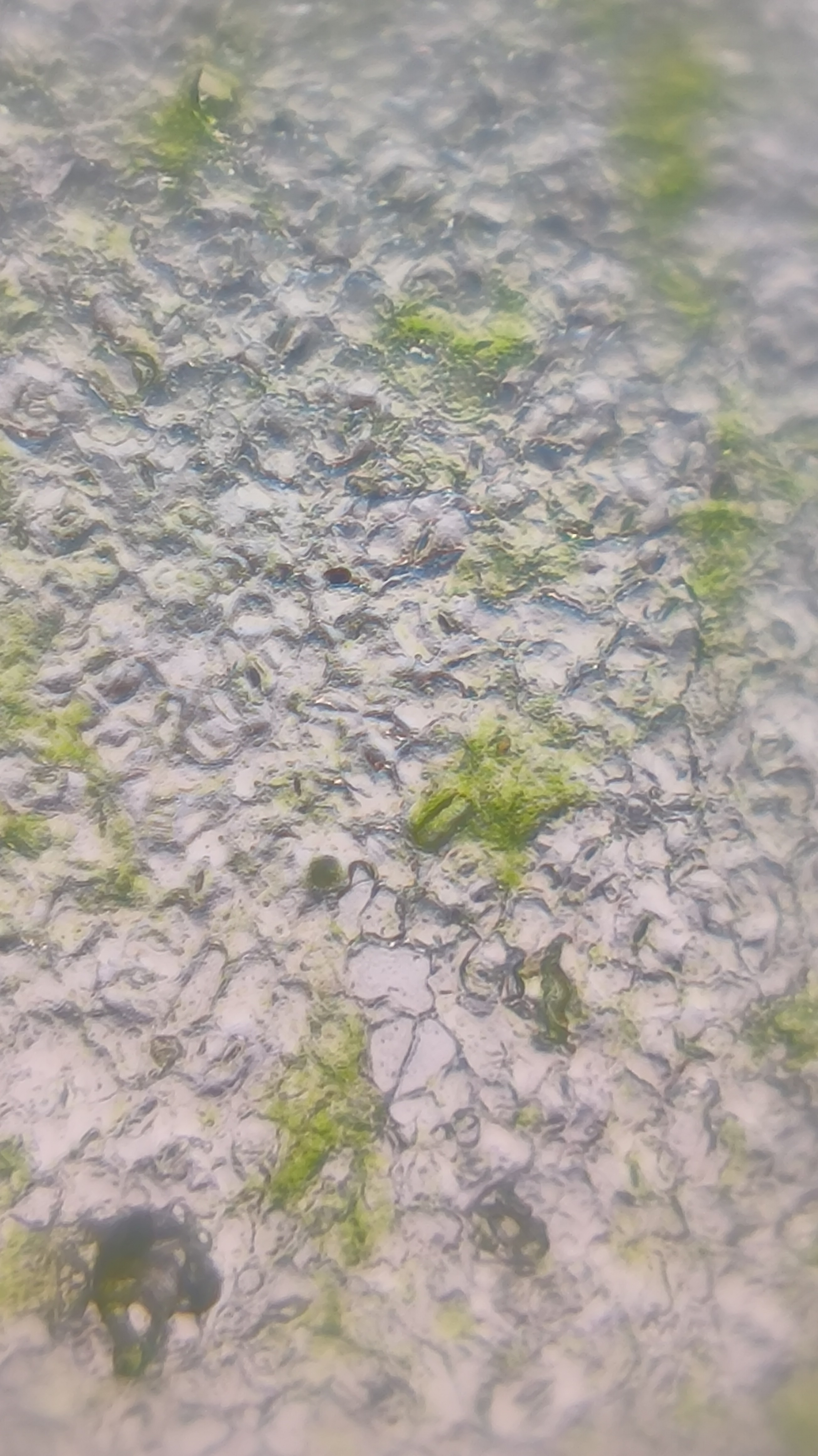 post_media%2F904%2Fnopid%2F9e8vehfqt1_IMG_20260401_155146.jpg?alt=media&token=26996c84-131b-4565-9f7c-a46e073cc563