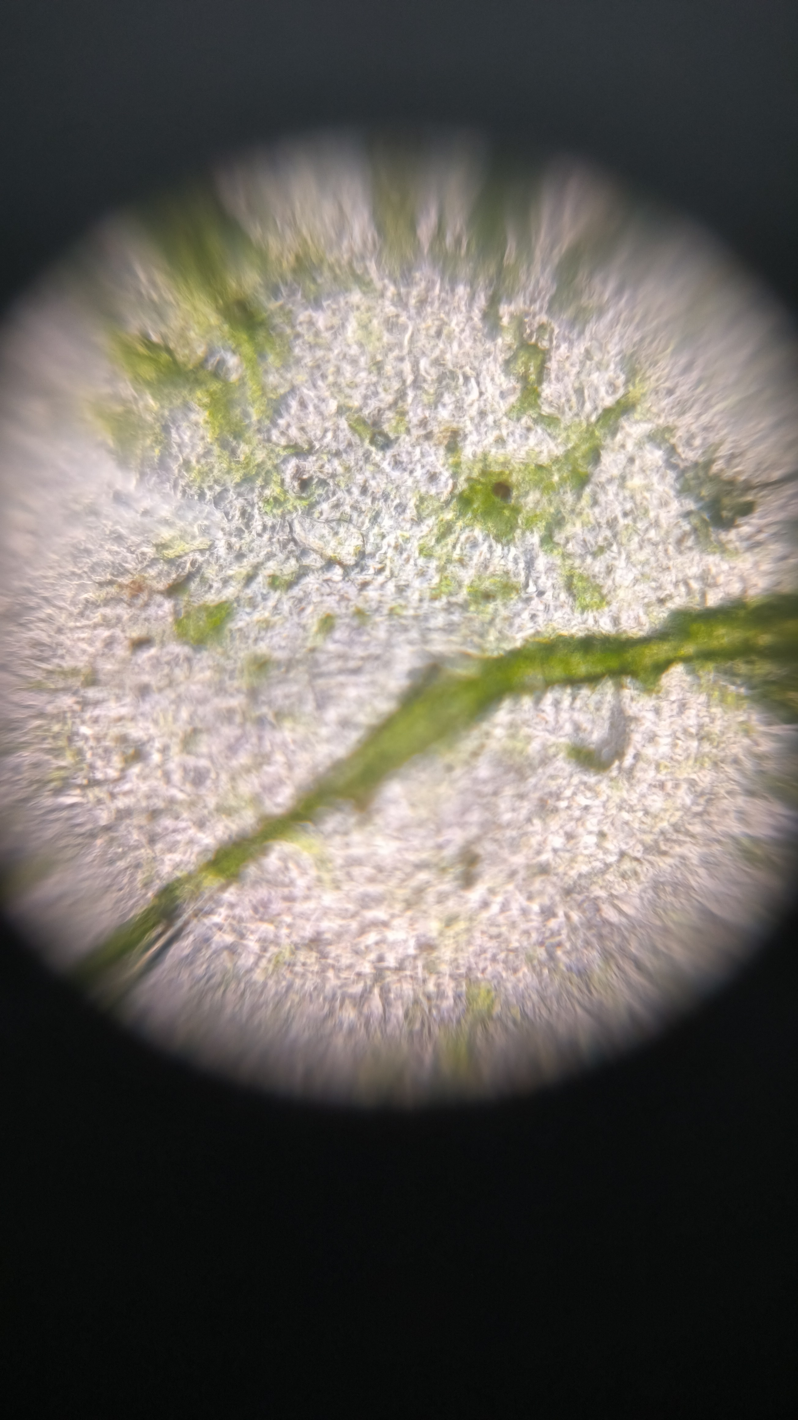 post_media%2F904%2Fnopid%2F9ge22gw8v5_IMG_20260401_154941.jpg?alt=media&token=58dc5a4c-38f0-4566-b19a-3c42a357996f