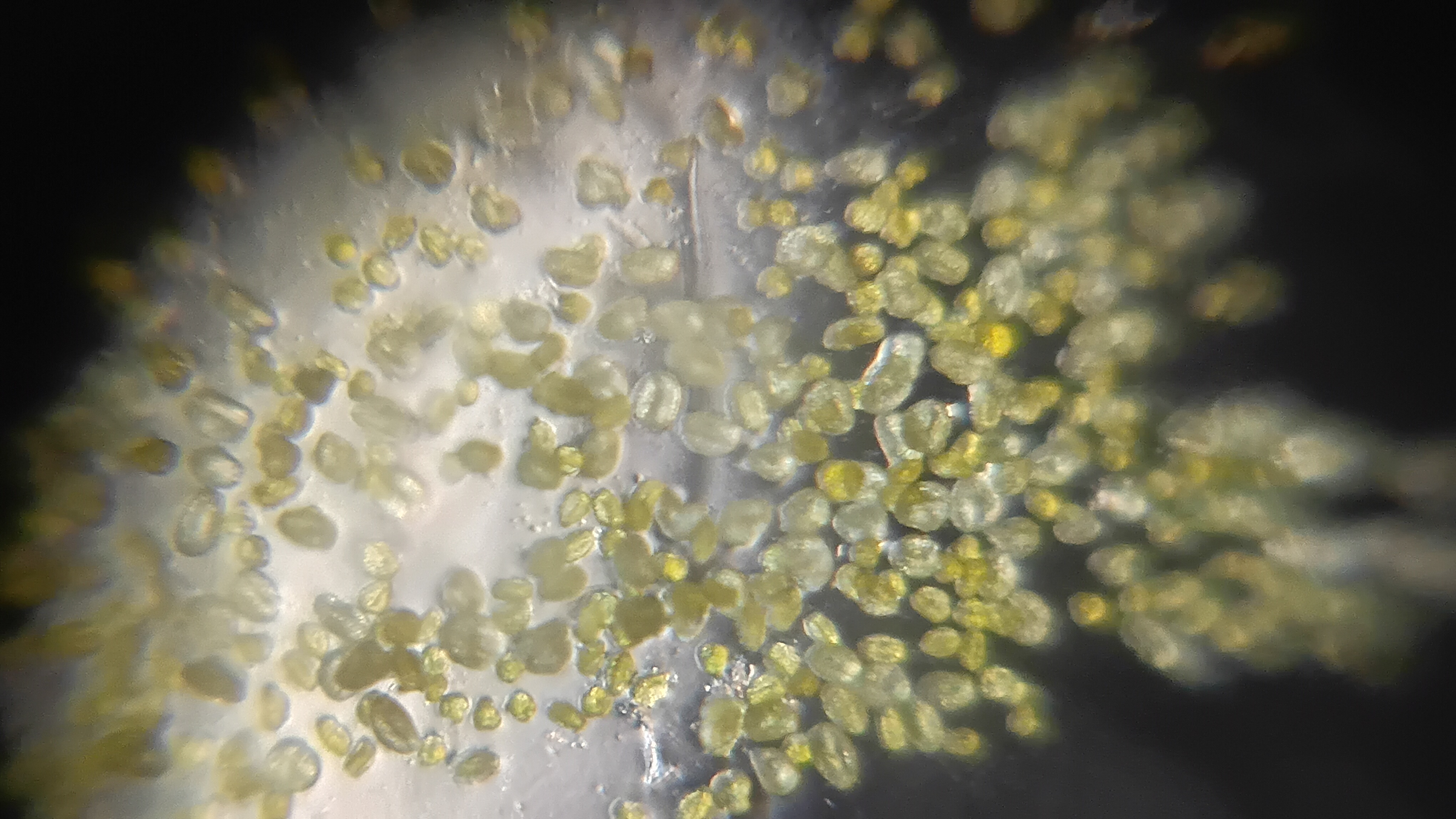 post_media%2F904%2Fnopid%2Fdtnr84kwen_20260308_103652.jpg?alt=media&token=f9e60b02-5157-44f8-8b5a-8954584f9c1a