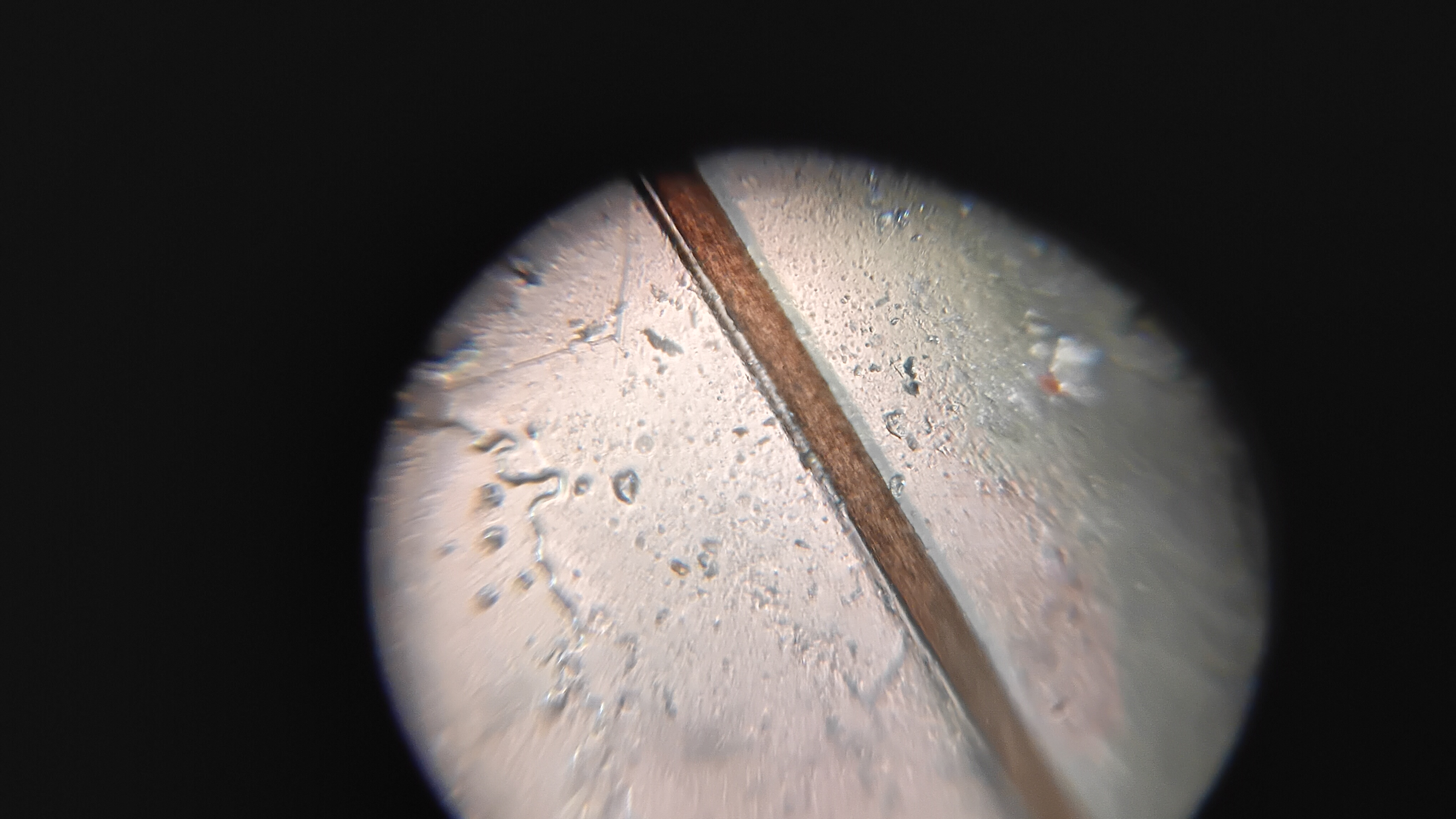 post_media%2F904%2Fnopid%2Fex0loo6dap_20260307_145052.jpg?alt=media&token=fc38756e-21f3-432c-94fe-fd020dd9c82d