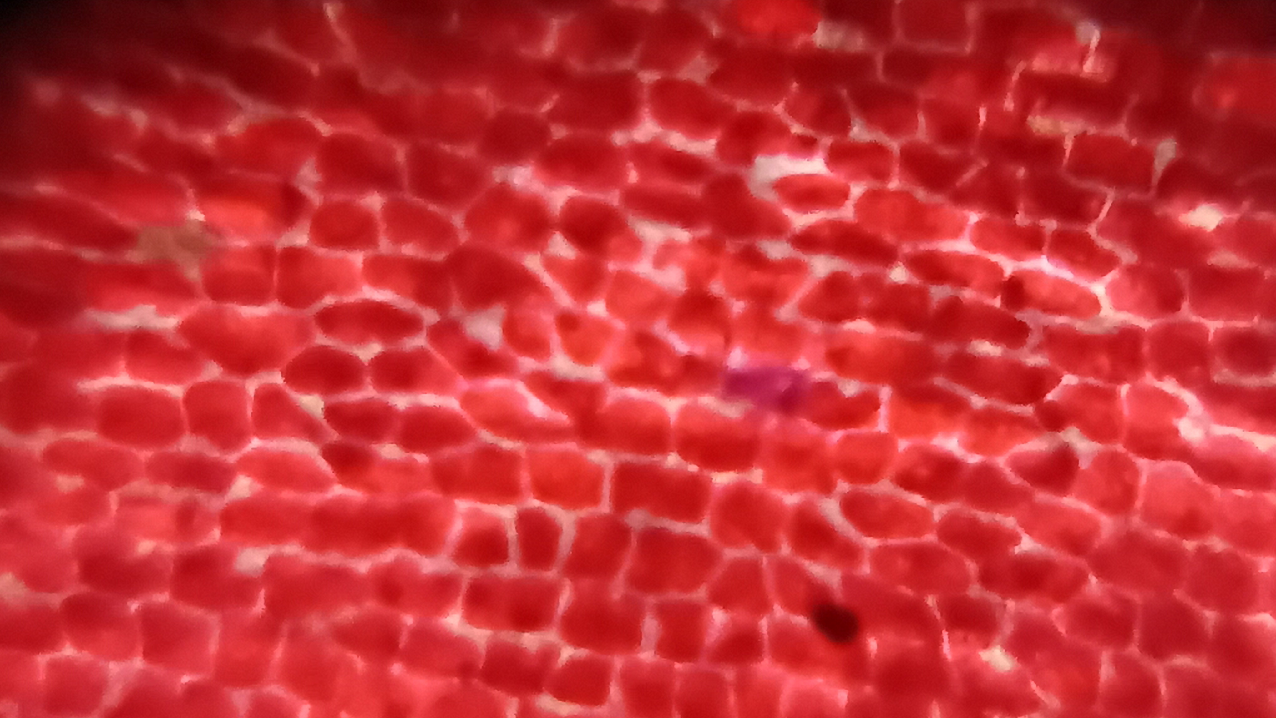 post_media%2F904%2Fnopid%2Ffaf2ctr3ok_20260307_151352.jpg?alt=media&token=0b89d849-e1eb-4828-a206-aa0c9333ec8b