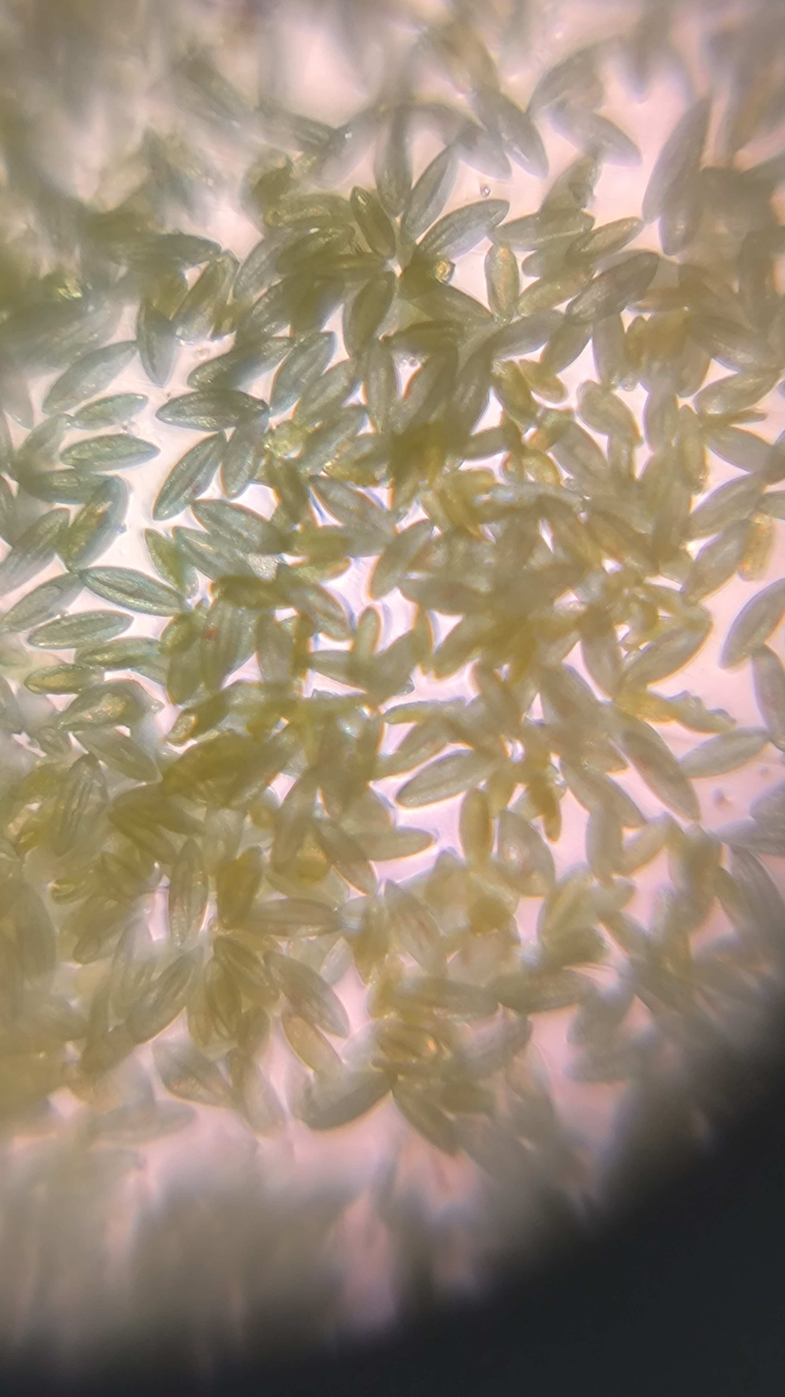 post_media%2F904%2Fnopid%2Fg16xt7zuai_IMG_20260403_144645.jpg?alt=media&token=3686e341-4623-4a1d-acf6-0ebc6d7d661a