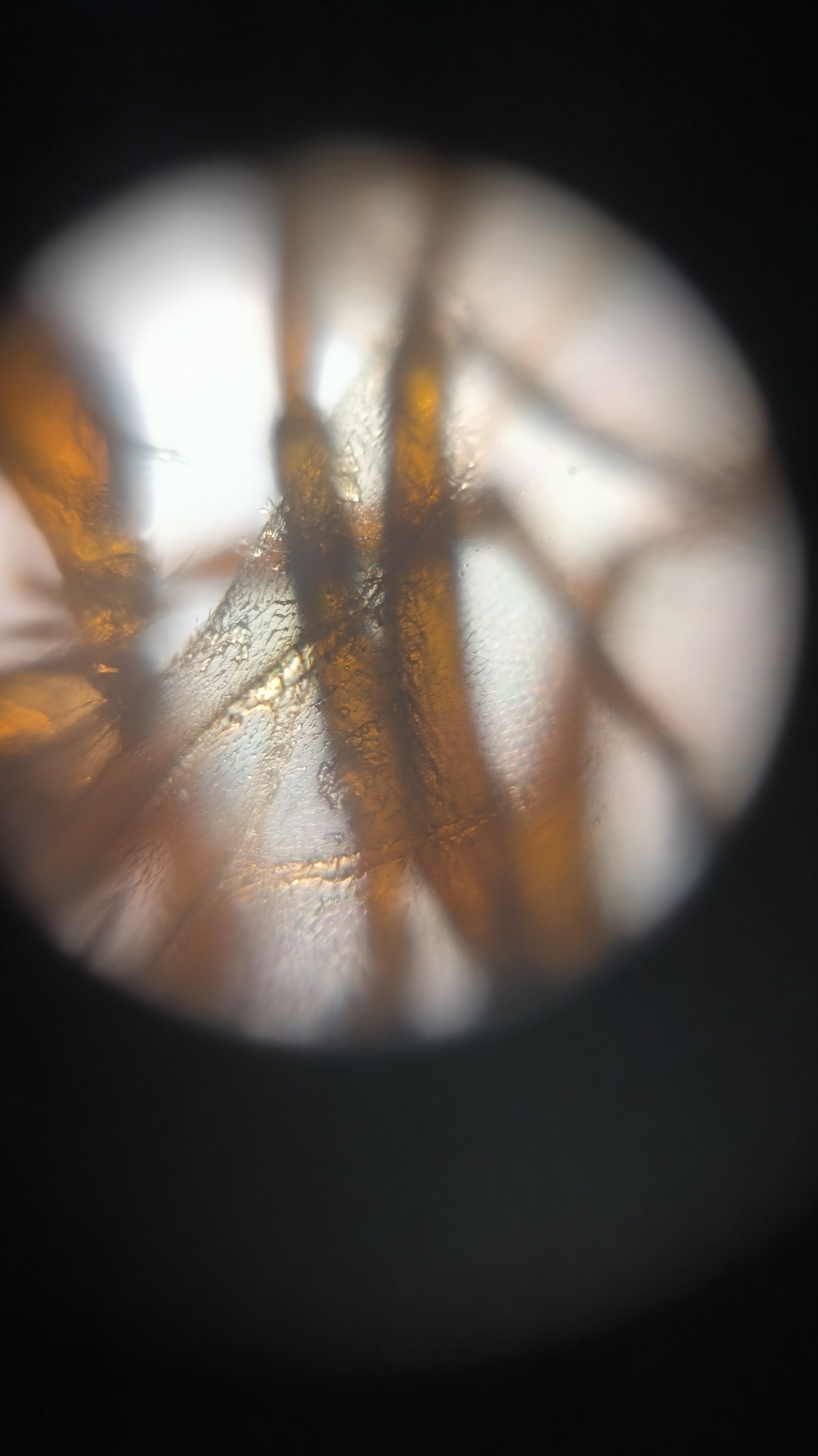 post_media%2F904%2Fnopid%2Fi1cx6q2ygw_IMG_20260408_163643.jpg?alt=media&token=4492cf99-bc42-4d8c-91c0-dfacee8f172e