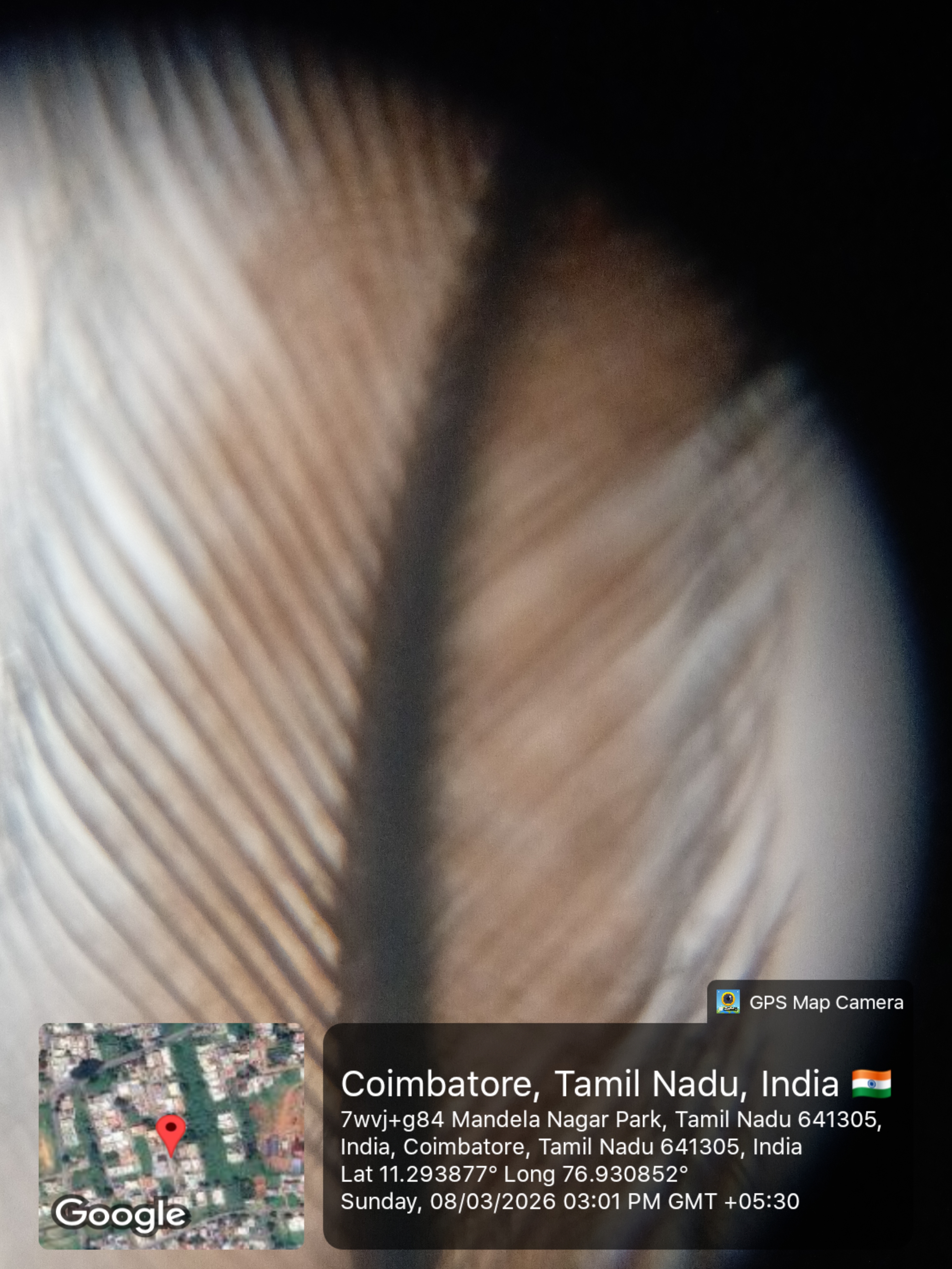 post_media%2F904%2Fnopid%2Fitaurf4707_20260308_30118PMByGPSMapCamera.jpg?alt=media&token=07c005f4-ae6b-40bc-acd0-054f4bb5876a