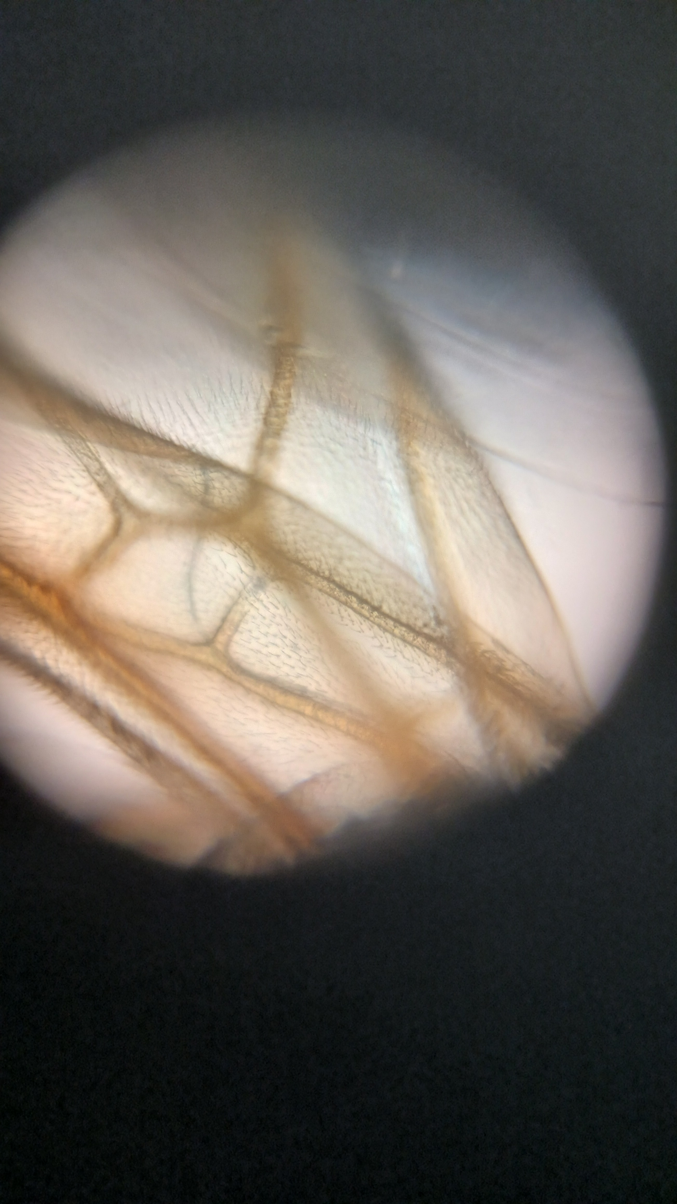 post_media%2F904%2Fnopid%2Fj3eiowtsxs_IMG_20260408_164110.jpg?alt=media&token=67b07fda-abca-4542-b5f6-dc95e339c26f