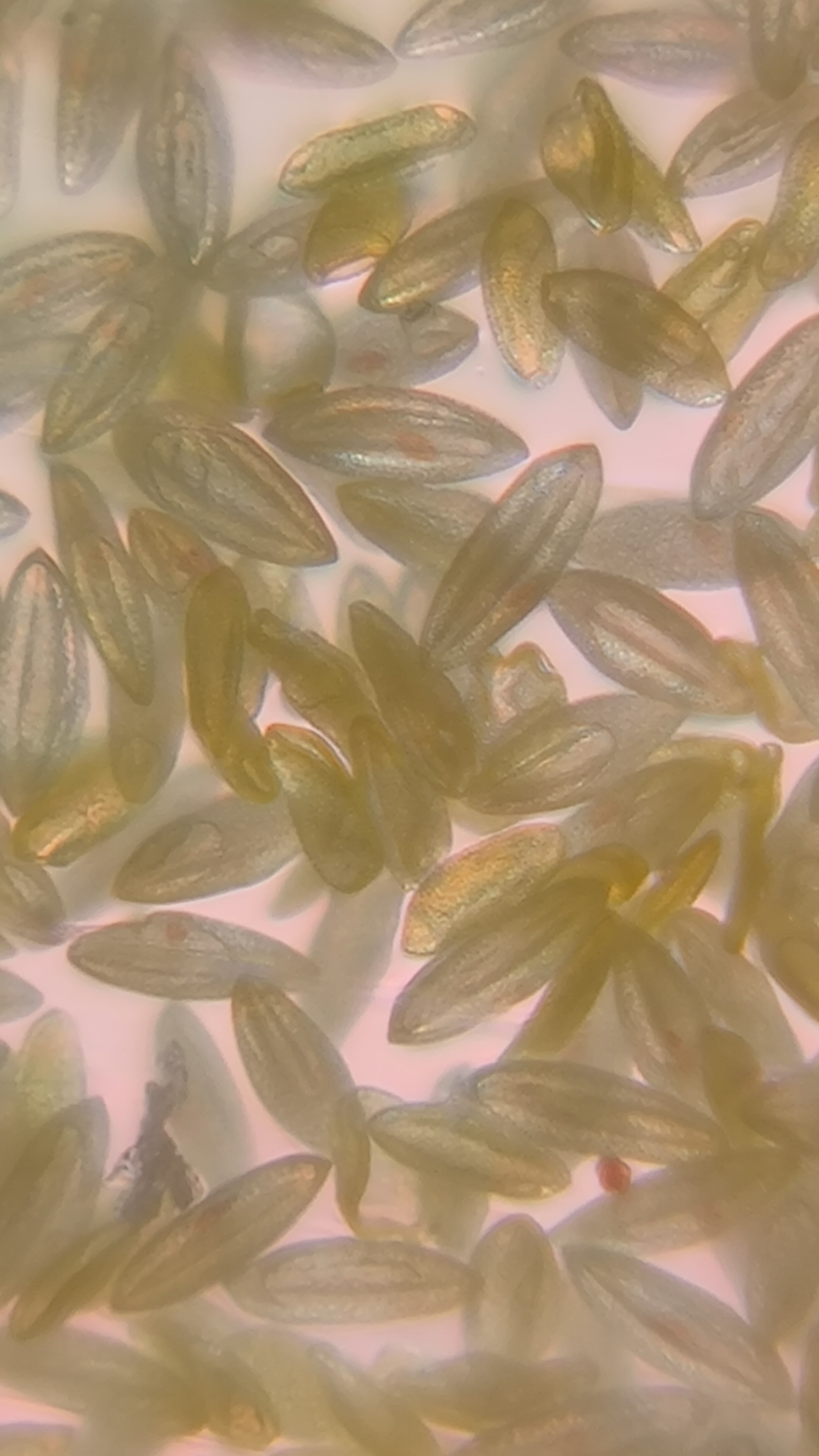 post_media%2F904%2Fnopid%2Fk0fpbwjwm8_IMG_20260403_144751.jpg?alt=media&token=f844f10a-374d-4193-ad78-a9a2147c839a