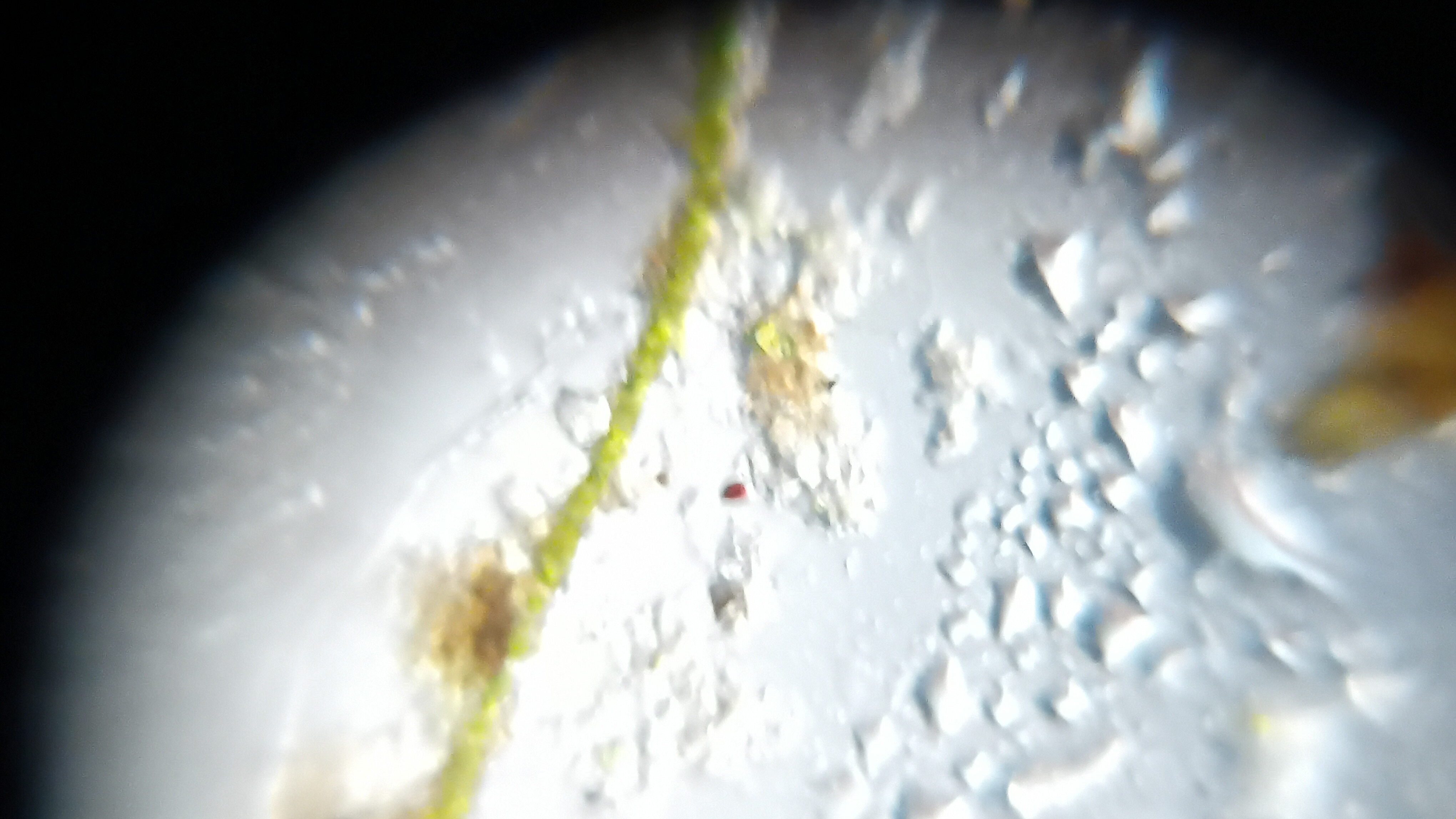 post_media%2F904%2Fnopid%2Fksz1hvs0ul_20260308_142444.jpg?alt=media&token=4367da4e-31c4-4384-91a1-34eaa5d8eed0