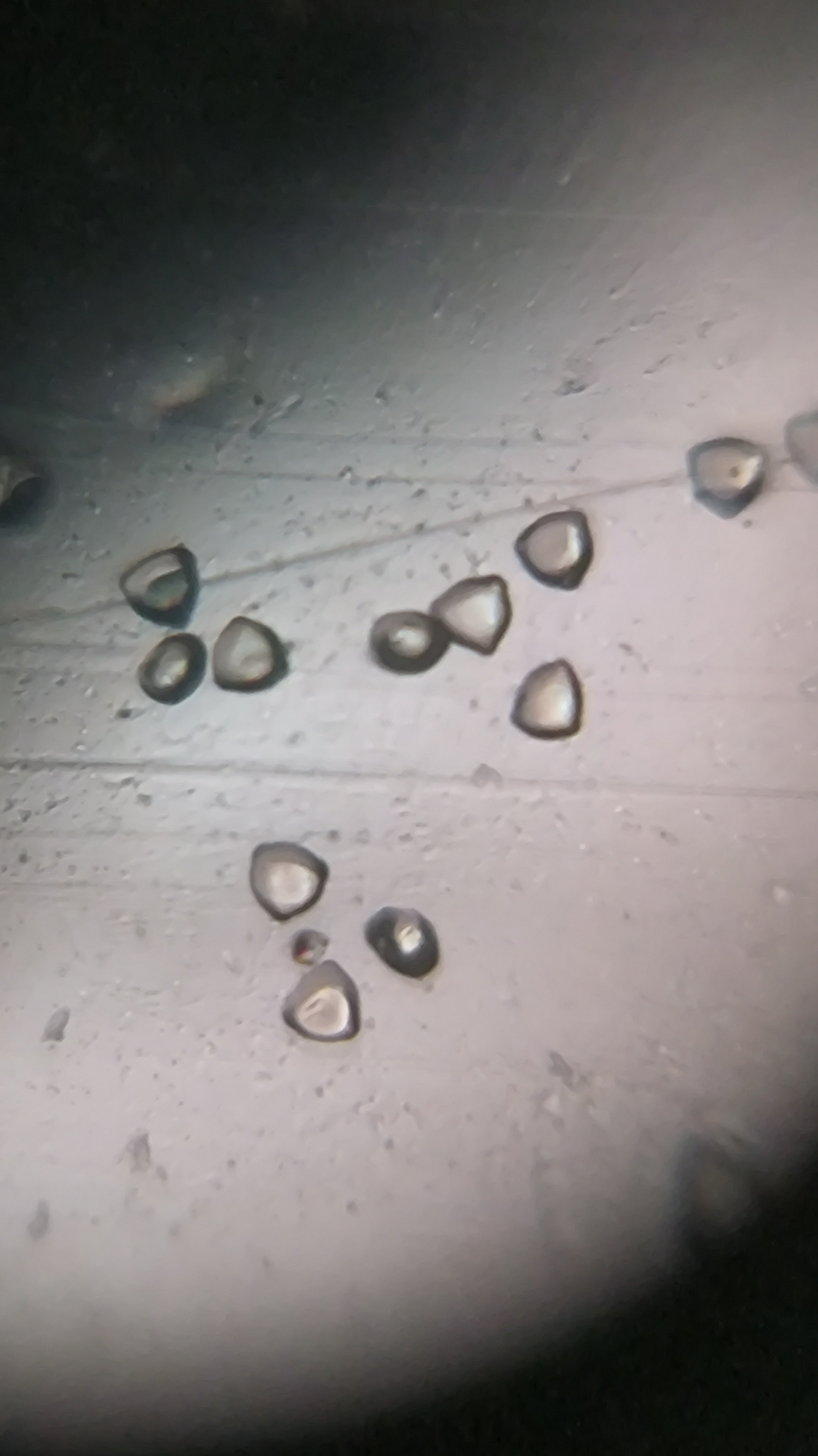 post_media%2F904%2Fnopid%2Flxpkmmiar3_IMG_20260403_151655.jpg?alt=media&token=dd2686cb-7c91-42d3-a8a4-ed688e6cbd47