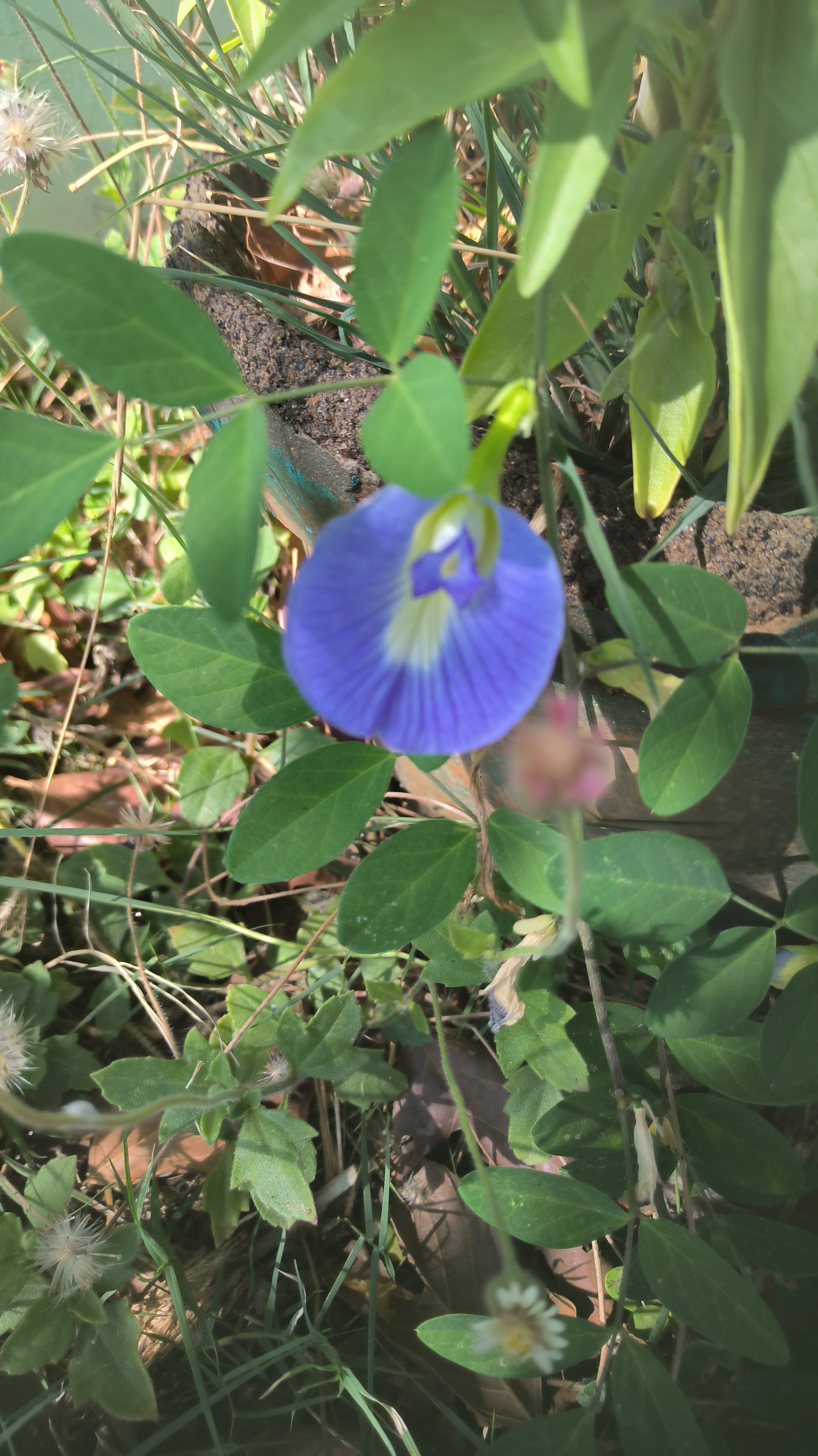 post_media%2F904%2Fnopid%2Fohtrtmxtg8_IMG_20260403_144844.jpg?alt=media&token=62fdc77e-b877-4d01-8641-7620375f71a3