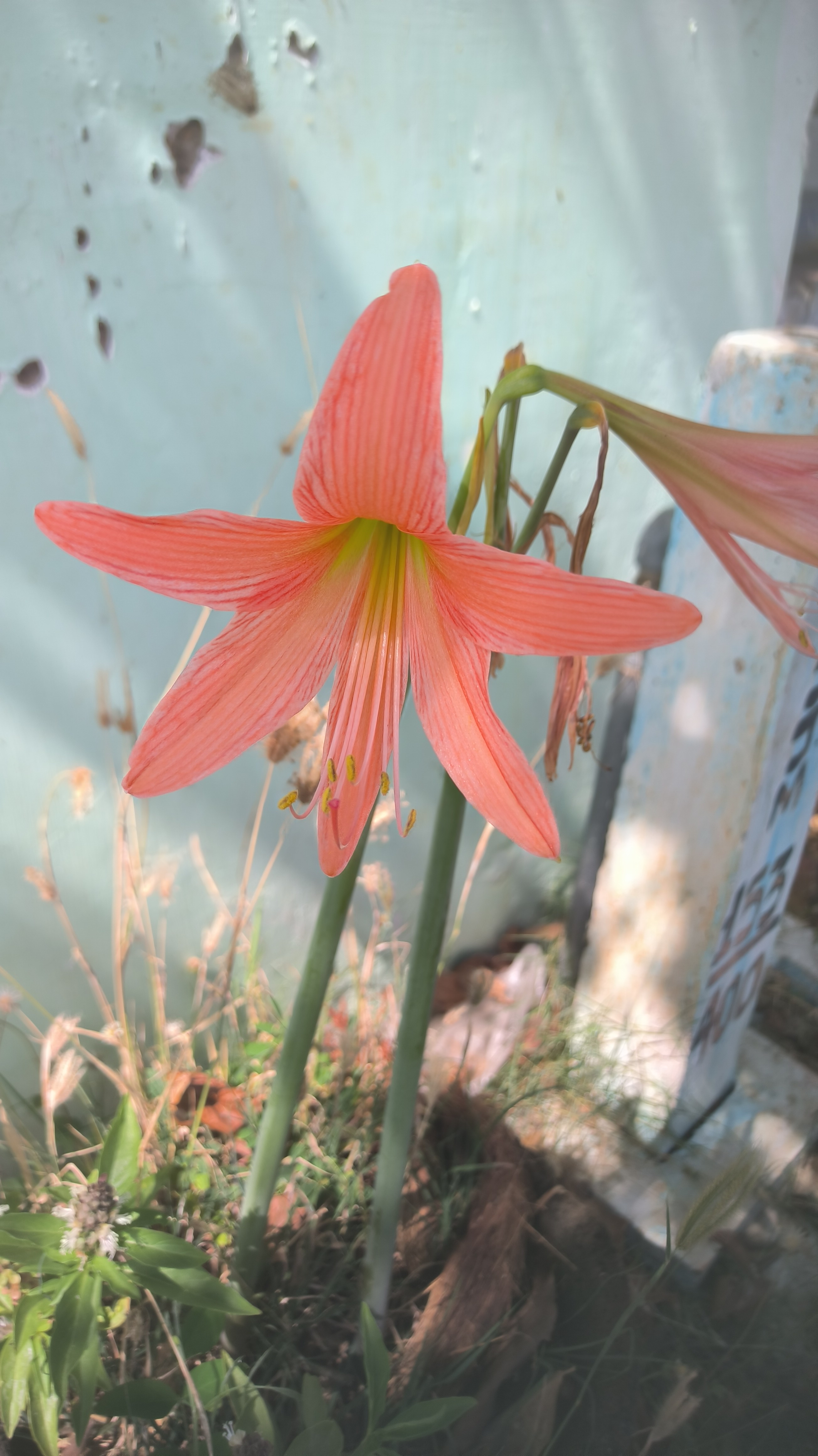 post_media%2F904%2Fnopid%2Fozblbefk4t_IMG_20260403_144835.jpg?alt=media&token=f482e806-3be9-4221-98b4-67e5444a1125