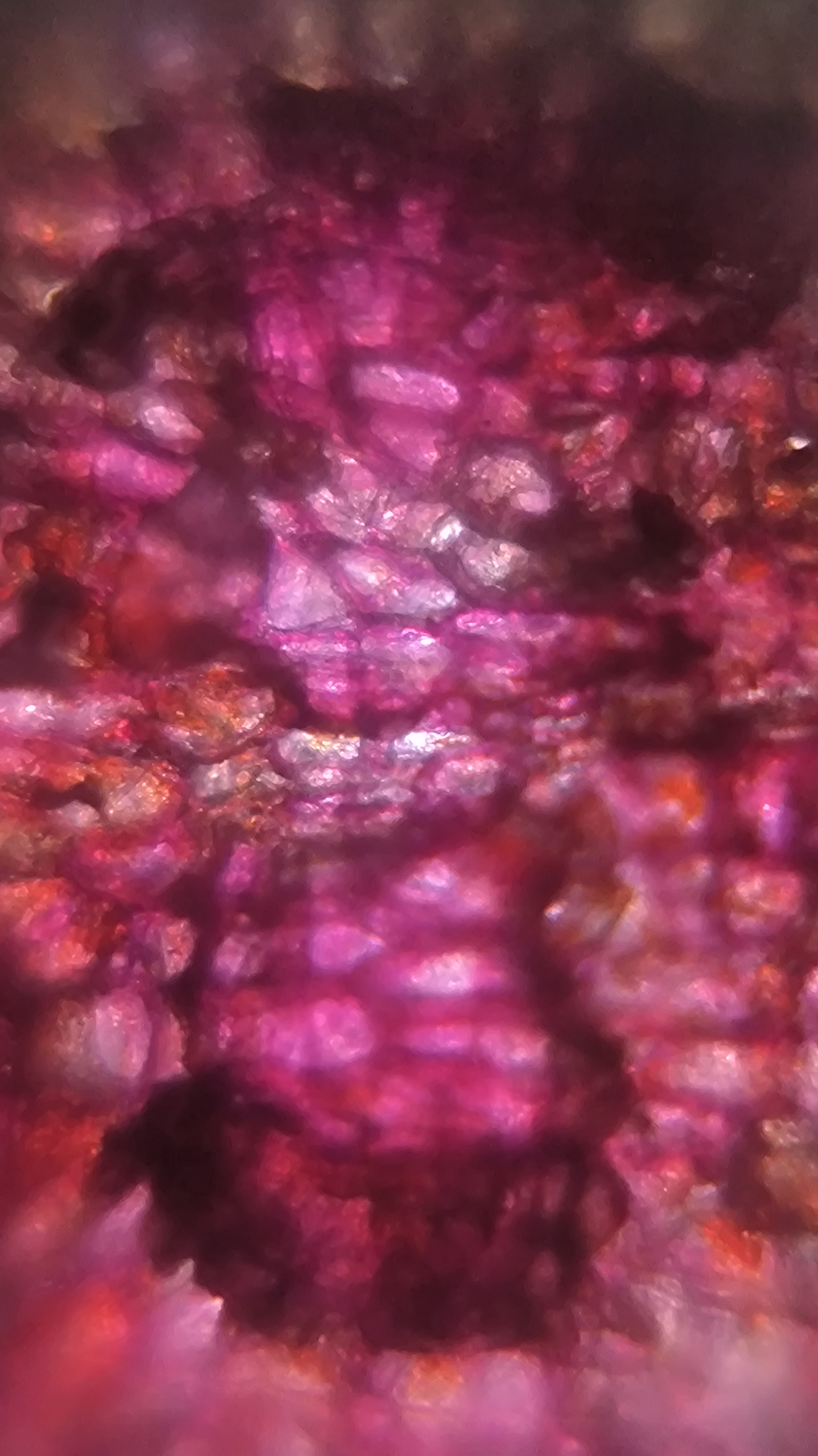 post_media%2F904%2Fnopid%2Frb46elb7vg_IMG_20260408_144848.jpg?alt=media&token=9378a25d-6753-4243-bf34-b8b7738c5120