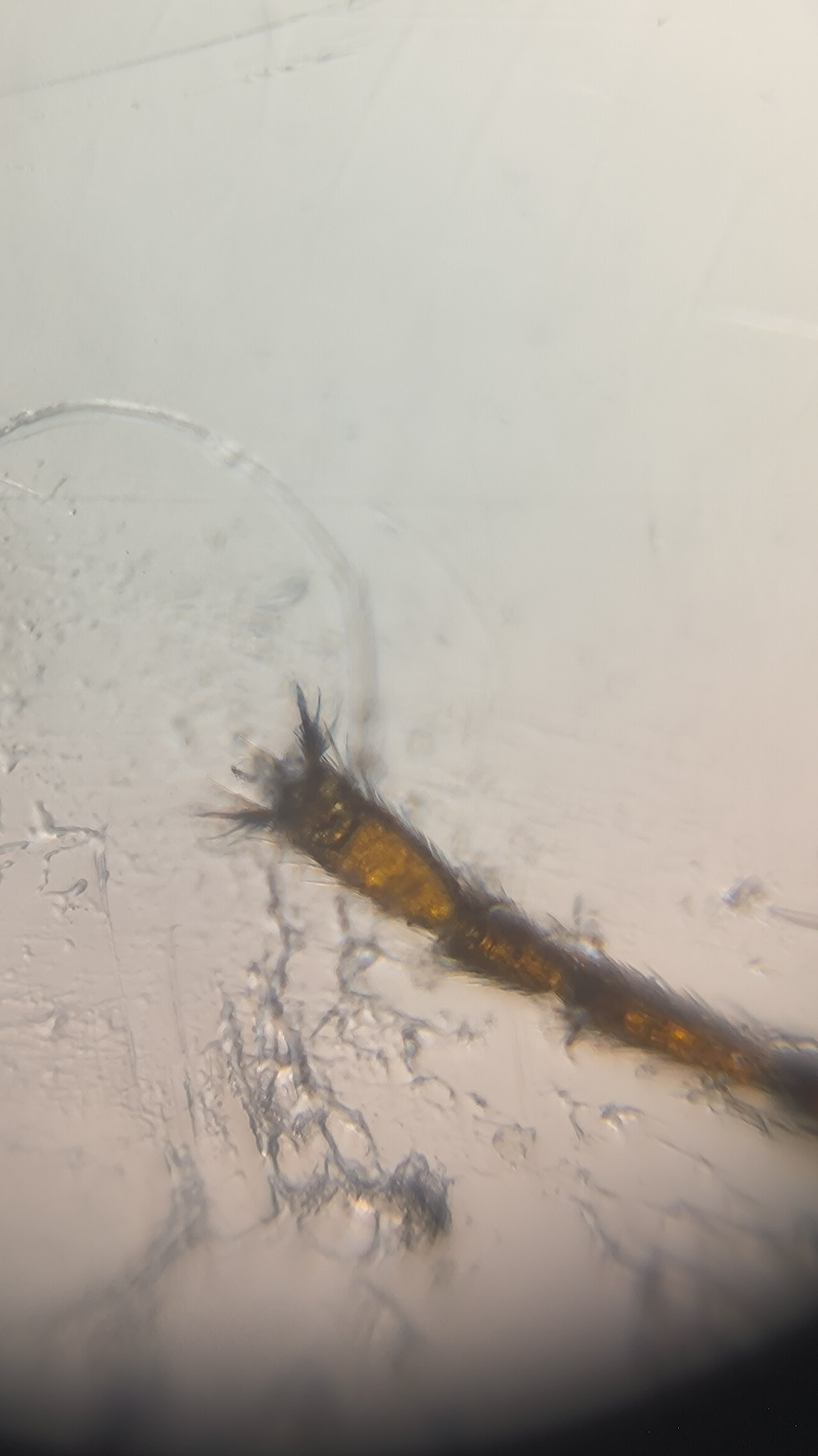 post_media%2F904%2Fnopid%2Ftlsr5gewc3_IMG_20260408_155832.jpg?alt=media&token=e90614bf-dbec-4cbf-870a-d2a7f7fd50df