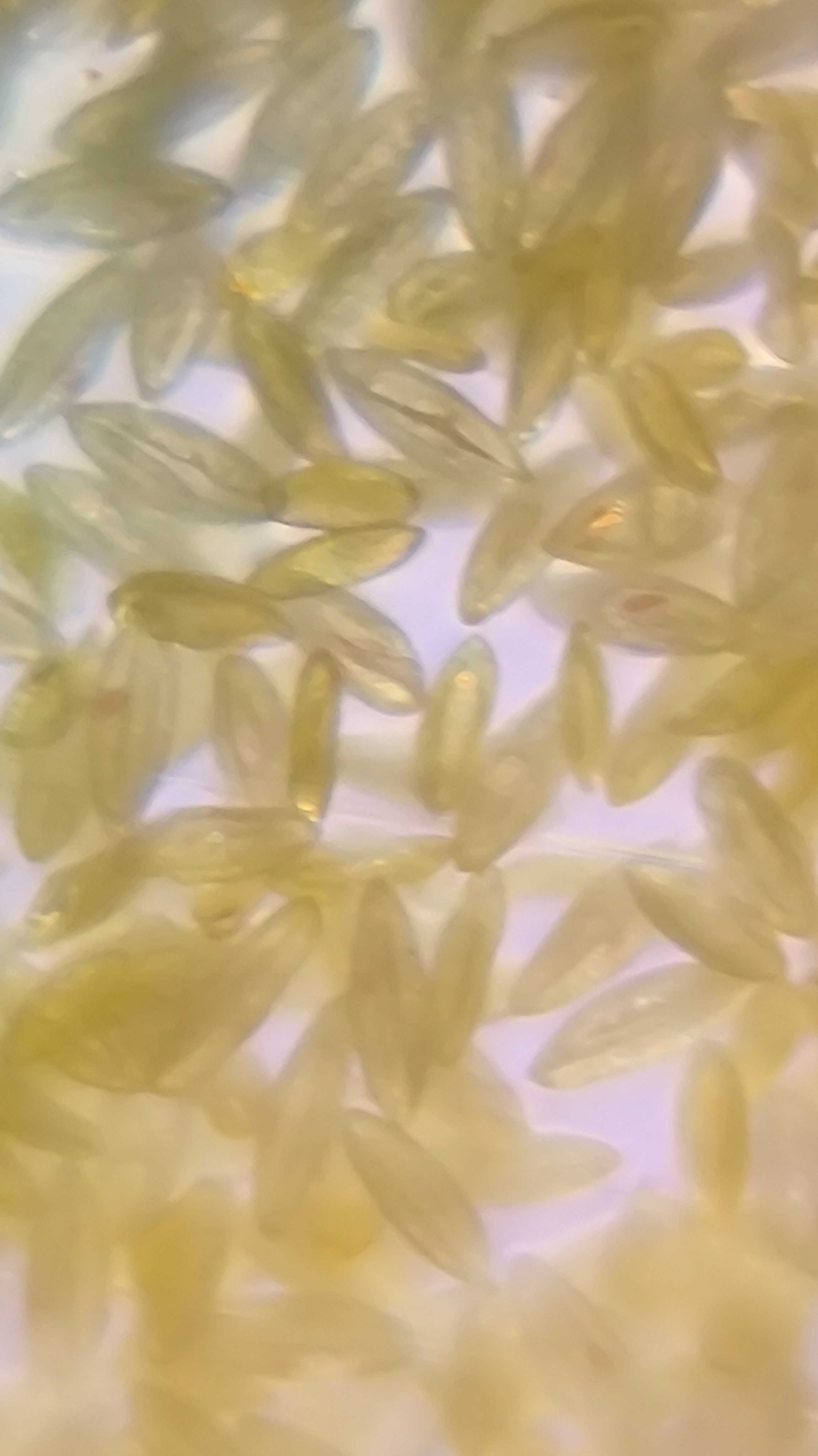 post_media%2F904%2Fnopid%2Ftxmg3ugve3_IMG_20260403_144707.jpg?alt=media&token=773688cc-561a-4b56-8383-ff7838031c43