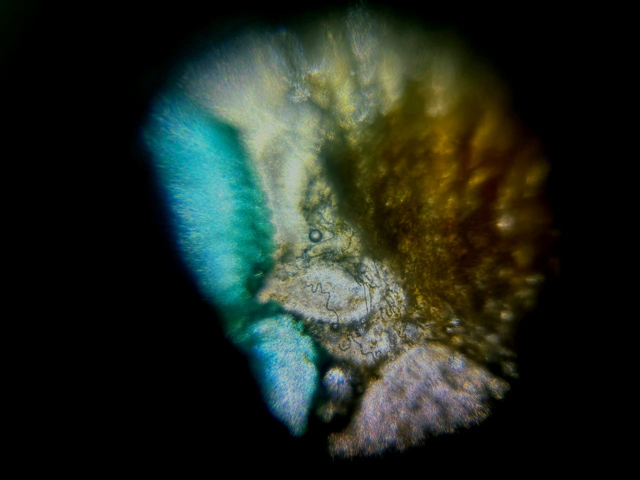 post_media%2F906%2Fnopid%2Fsrenp3qv12_WhatsApp%20Image%202025-05-02%20at%204.24.48%20PM%20(2).jpeg?alt=media&token=aa414464-cb3d-4ff4-93e1-0b5de12372b1