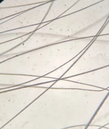 post_media%2FAotyHImcOwYZzTKIoIwOuttkD0D3%2FuMao8oJPtXPZA94XdVws%2F8qissib246_Screenshot%202026-04-03%20at%202.58.03%E2%80%AFAM.png?alt=media&token=ebee8daa-c817-41b2-944c-f1031062f3b2