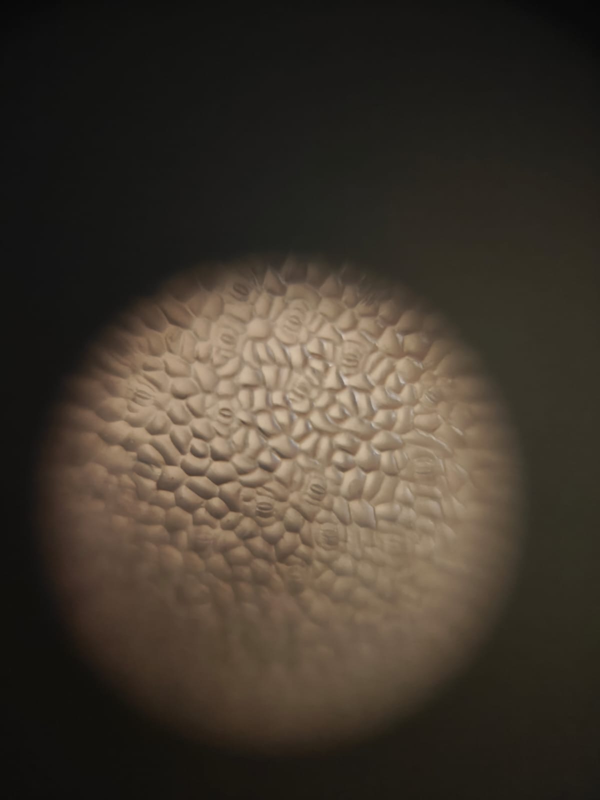 post_media%2FBSZYKaK87HRvgGRpqnpAY4ZuL4J2%2Fnopid%2Fvz9kstn3q5_WhatsApp%20Image%202026-04-25%20at%2014.02.30.jpeg?alt=media&token=1b5e0a35-d9f5-471c-9a2d-c09394fa51fd