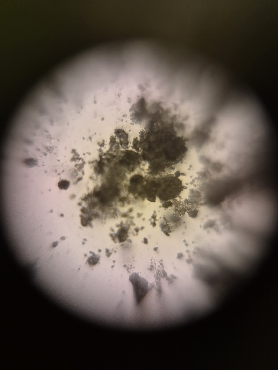 post_media%2FCBK0QhKb2pfcfuAk3vzL1qksuEv2%2Fnopid%2Fem4u8l7yxz_foldscope_birthcontrol.jpg?alt=media&token=e586d5f1-e4f9-4f64-877e-4231c7f88541