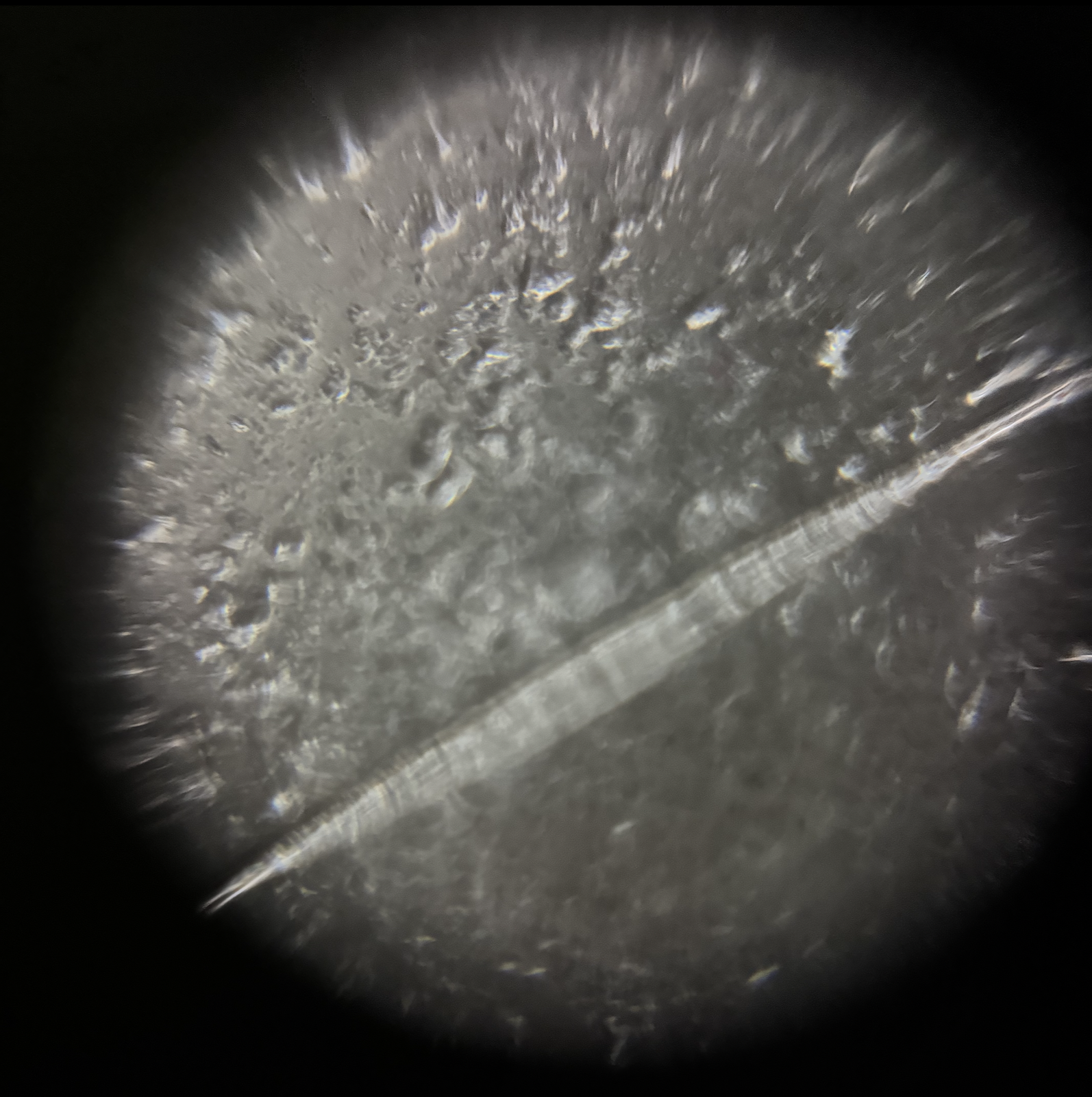 post_media%2FCBeS1PMYXOQrPzAAMdpuHNVxgGp2%2Fnopid%2F8hbjqm00m6_Screenshot%202026-04-03%20at%201.38.20%20PM.png?alt=media&token=21b86703-a732-4ef7-a95a-9b605115d4bb