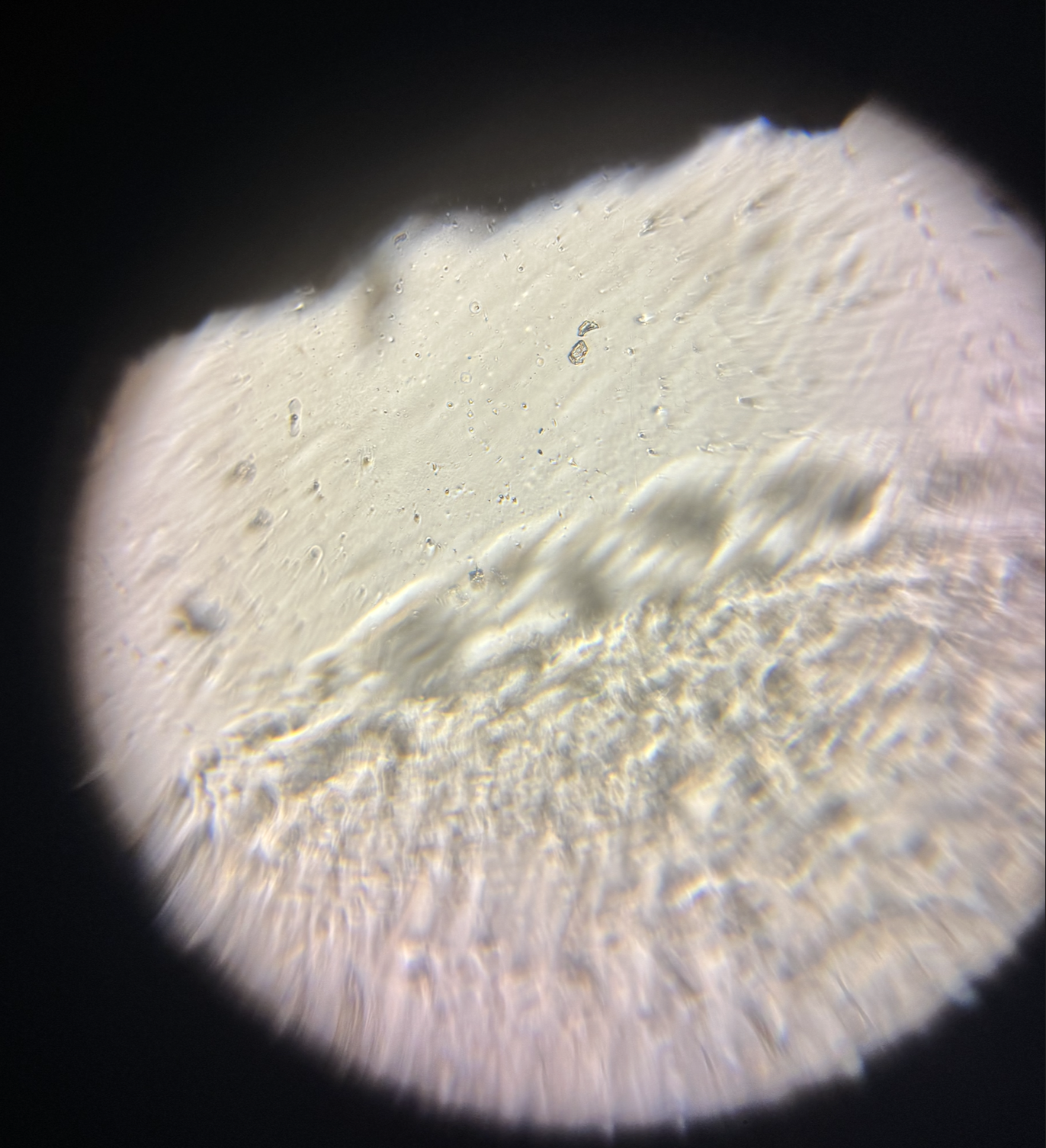 post_media%2FCBeS1PMYXOQrPzAAMdpuHNVxgGp2%2Fnopid%2Fdhp3bkogy9_Screenshot%202026-04-03%20at%202.23.45%20PM.png?alt=media&token=1578ae55-f4c6-4926-8a4e-46c030992f87