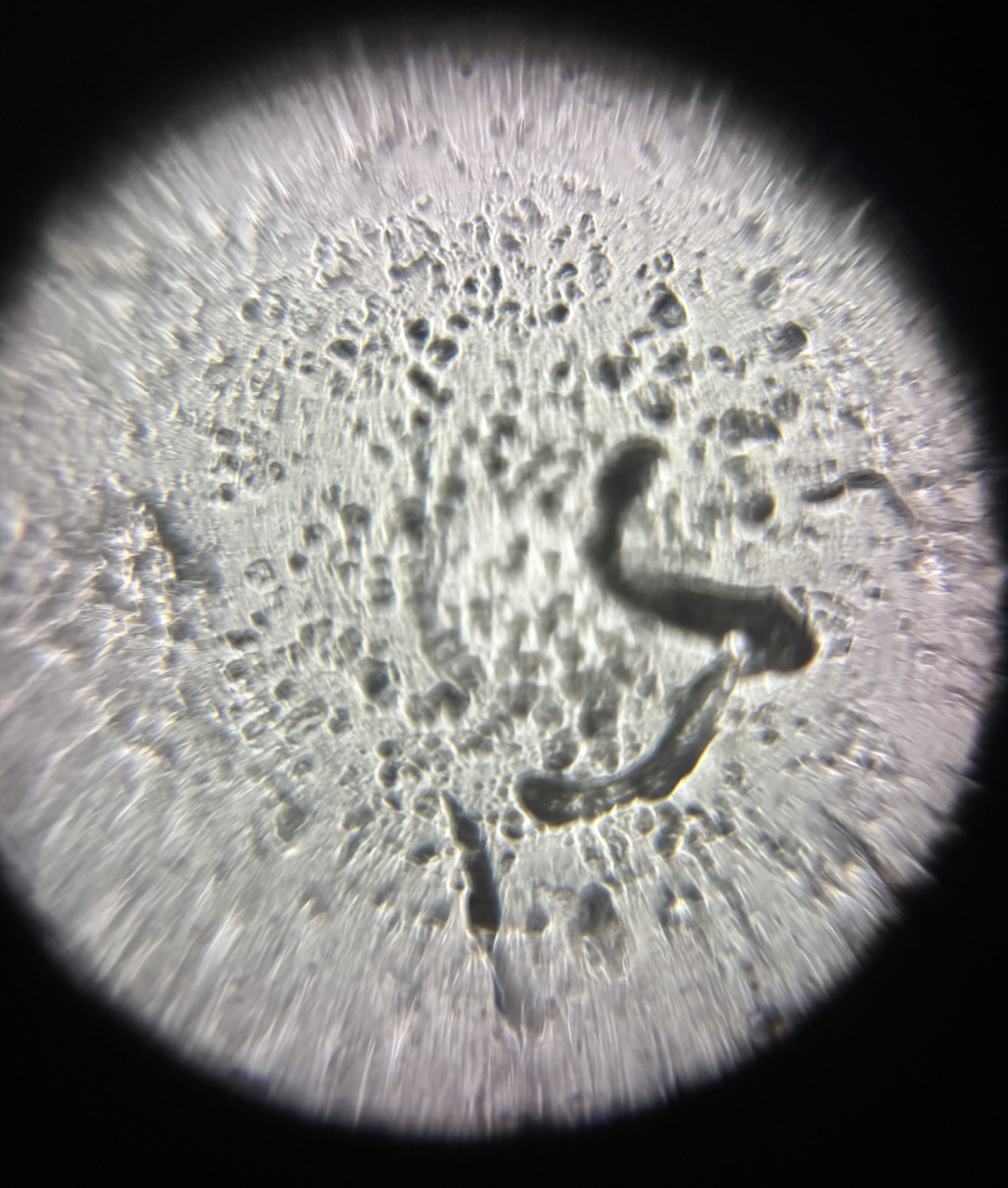 post_media%2FCBeS1PMYXOQrPzAAMdpuHNVxgGp2%2Fnopid%2Fu1s5klgz1i_Screenshot%202026-04-03%20at%201.39.54%20PM.png?alt=media&token=53a04c56-5ab6-4852-b9d6-1b6ba88692e7