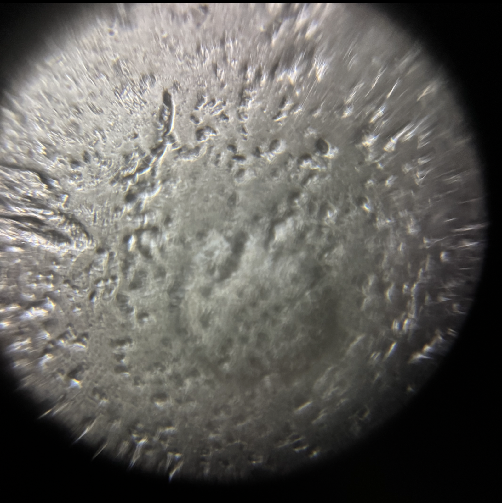 post_media%2FCBeS1PMYXOQrPzAAMdpuHNVxgGp2%2Fnopid%2Fxu6xn411z3_Screenshot%202026-04-03%20at%201.37.16%20PM.png?alt=media&token=2d78bfe9-2b5b-453c-b151-2b6292806830