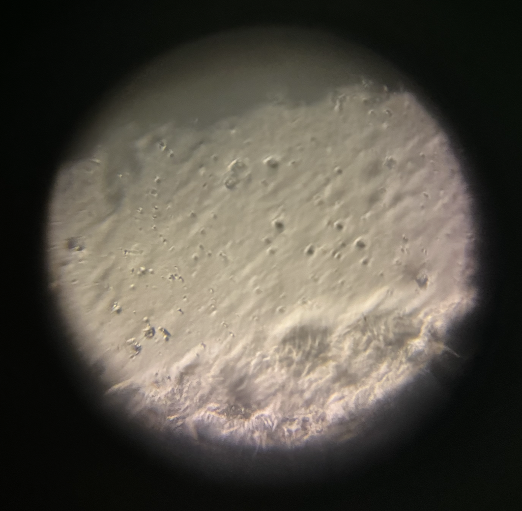 post_media%2FCBeS1PMYXOQrPzAAMdpuHNVxgGp2%2Fnopid%2Fz033loxjxq_Screenshot%202026-04-03%20at%202.15.59%20PM.png?alt=media&token=e5f1b87b-b42e-4f9d-9d4d-1316ad02df50