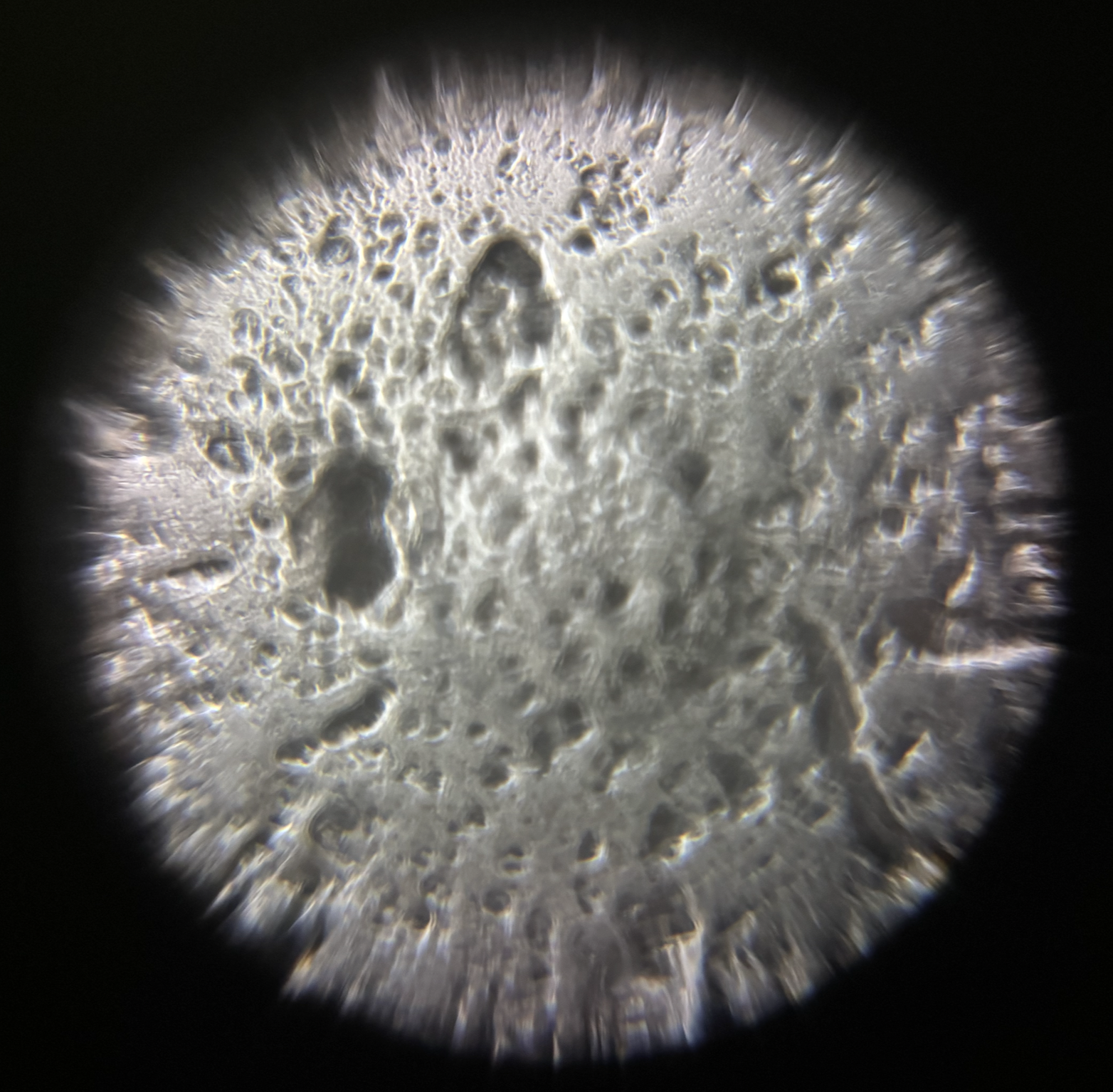 post_media%2FCBeS1PMYXOQrPzAAMdpuHNVxgGp2%2Fnopid%2Fz23x8dcq1j_Screenshot%202026-04-03%20at%201.40.30%20PM.png?alt=media&token=929aa4b8-693a-43e4-8eaa-b29c7dcbe05f