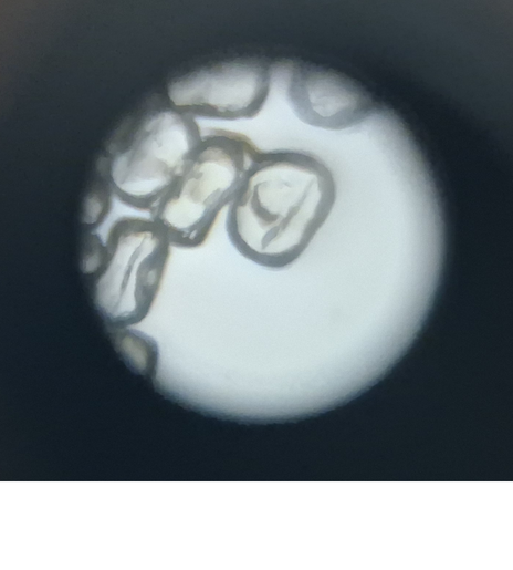 post_media%2FCYd5ZpzAB1e7BWRTYf0dALm3zwz2%2Fl8M3ITJlPl7txNgGuUhZ%2F9ol0o86z91_Exploring%20the%20Microcosm%20Presentation.png?alt=media&token=61ae0eff-936f-4f35-952d-24178ecc6332