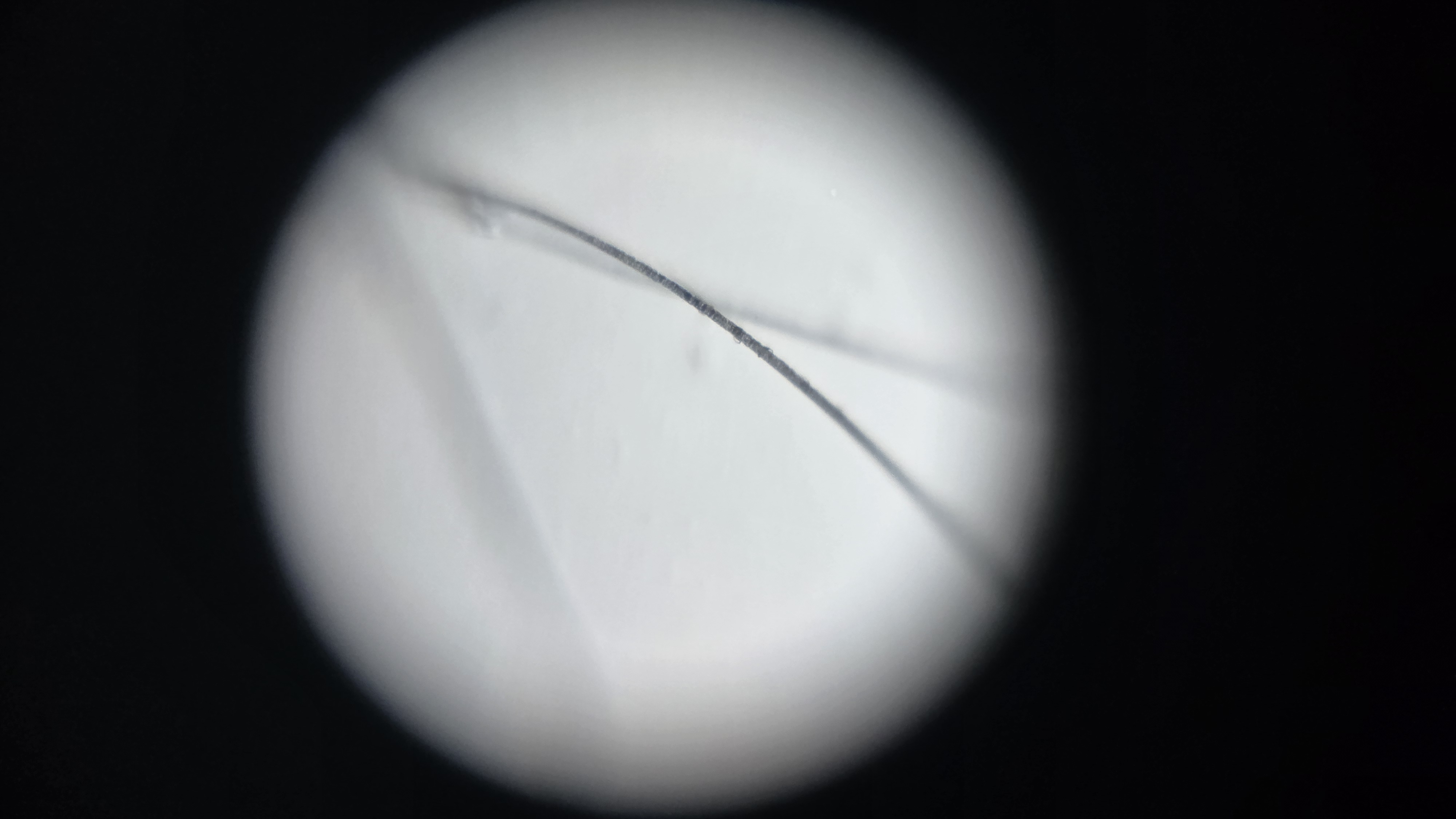 post_media%2FGhoIUSiF2lhZoFip1bzWXzrPP213%2Fnopid%2Fan5k3djssn_20260403_120834.jpg?alt=media&token=3e970397-d4fe-41be-aff6-c70bbb19da3f