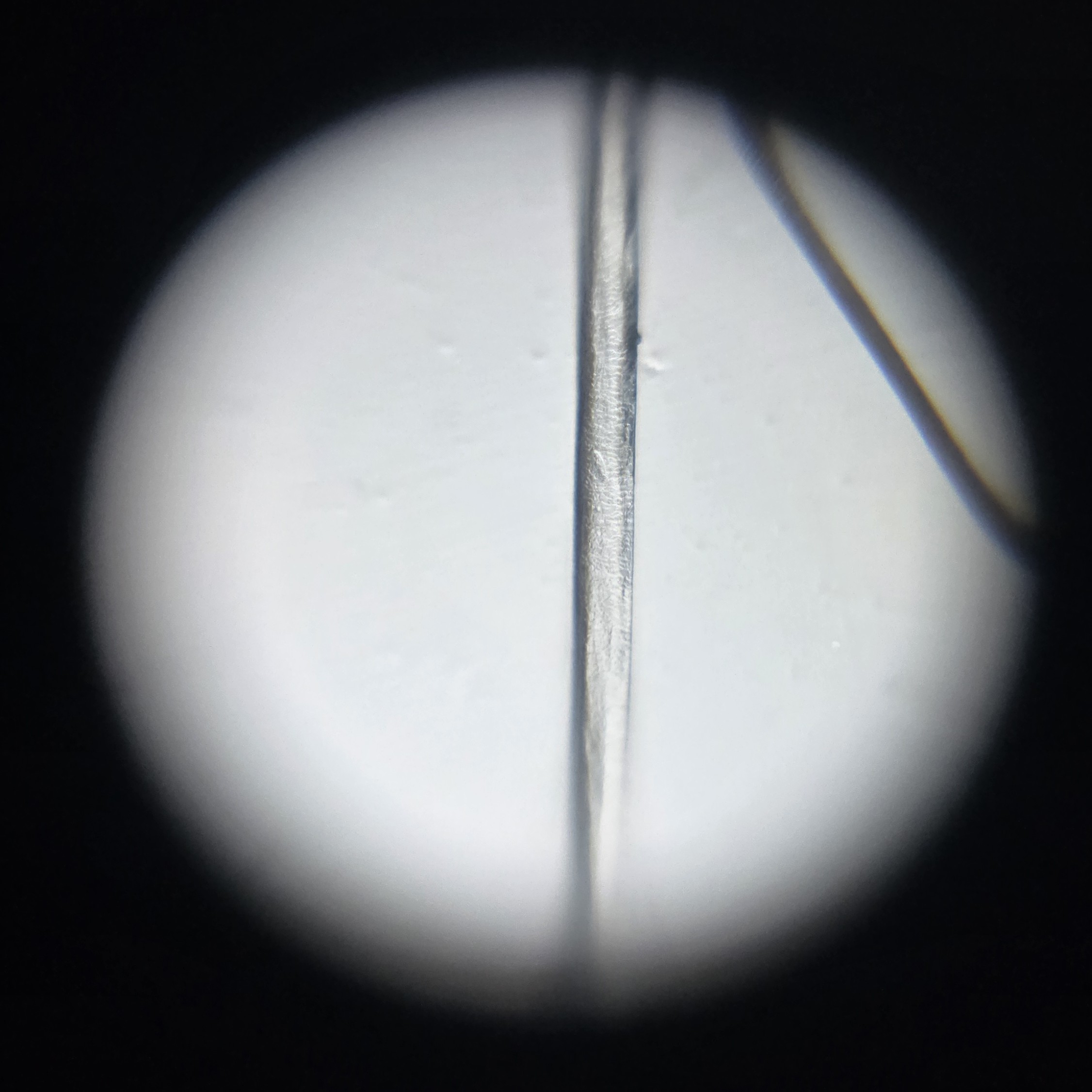 post_media%2FGhoIUSiF2lhZoFip1bzWXzrPP213%2Fnopid%2Fm3yx303uwv_20260403_120338.jpg?alt=media&token=fe1fa9c9-a969-4a8f-ac18-f4a99fd90c61