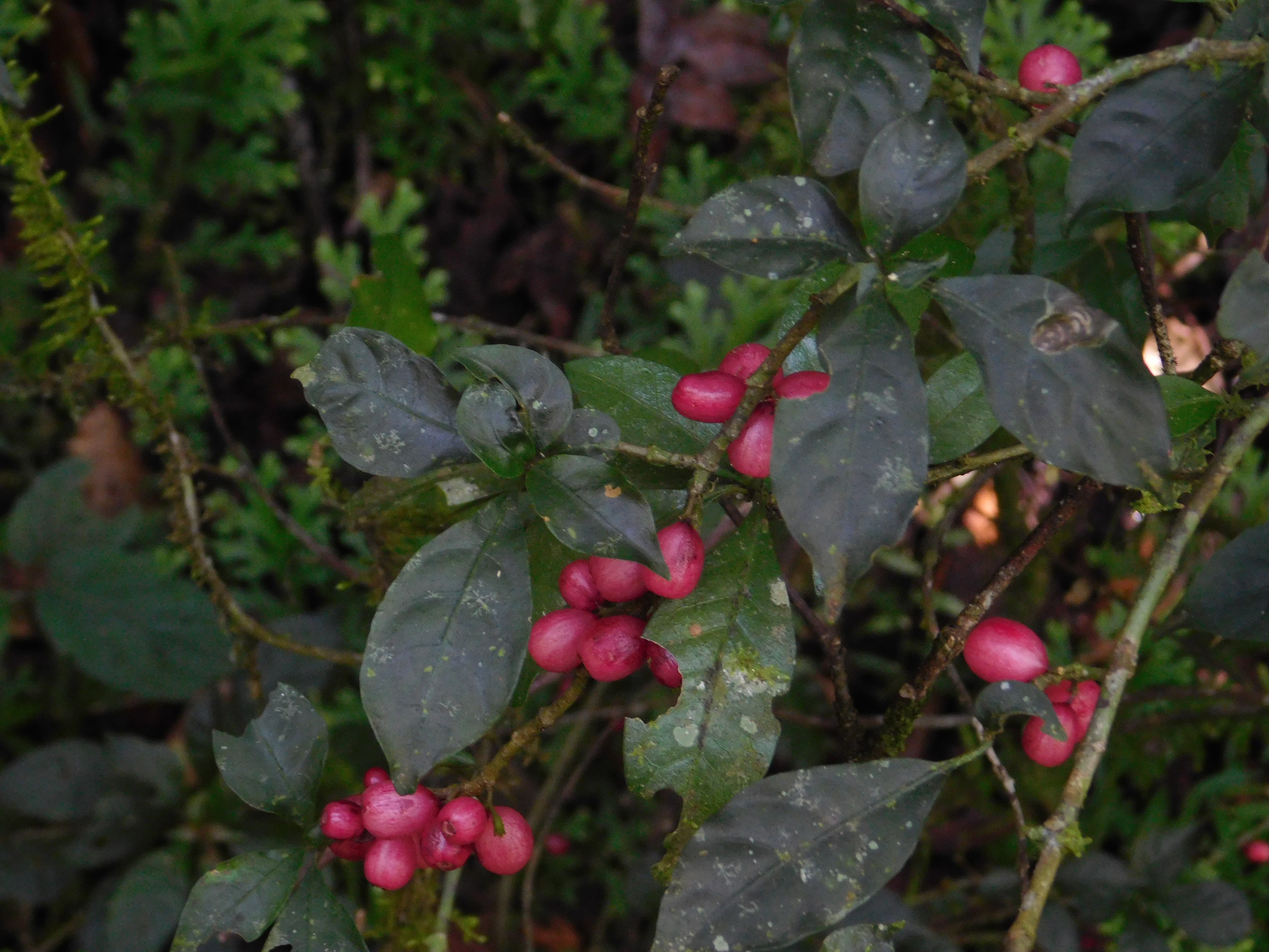 post_media%2FHpJLwfCcFnQIxtU0gHKeWmlrq4y2%2FHBT97YXQMC6FkH3Qlcsy%2Fz6wgfuc4pq_DSCN7287.JPG?alt=media&token=be65e781-e909-491d-9f34-5c0582910ada