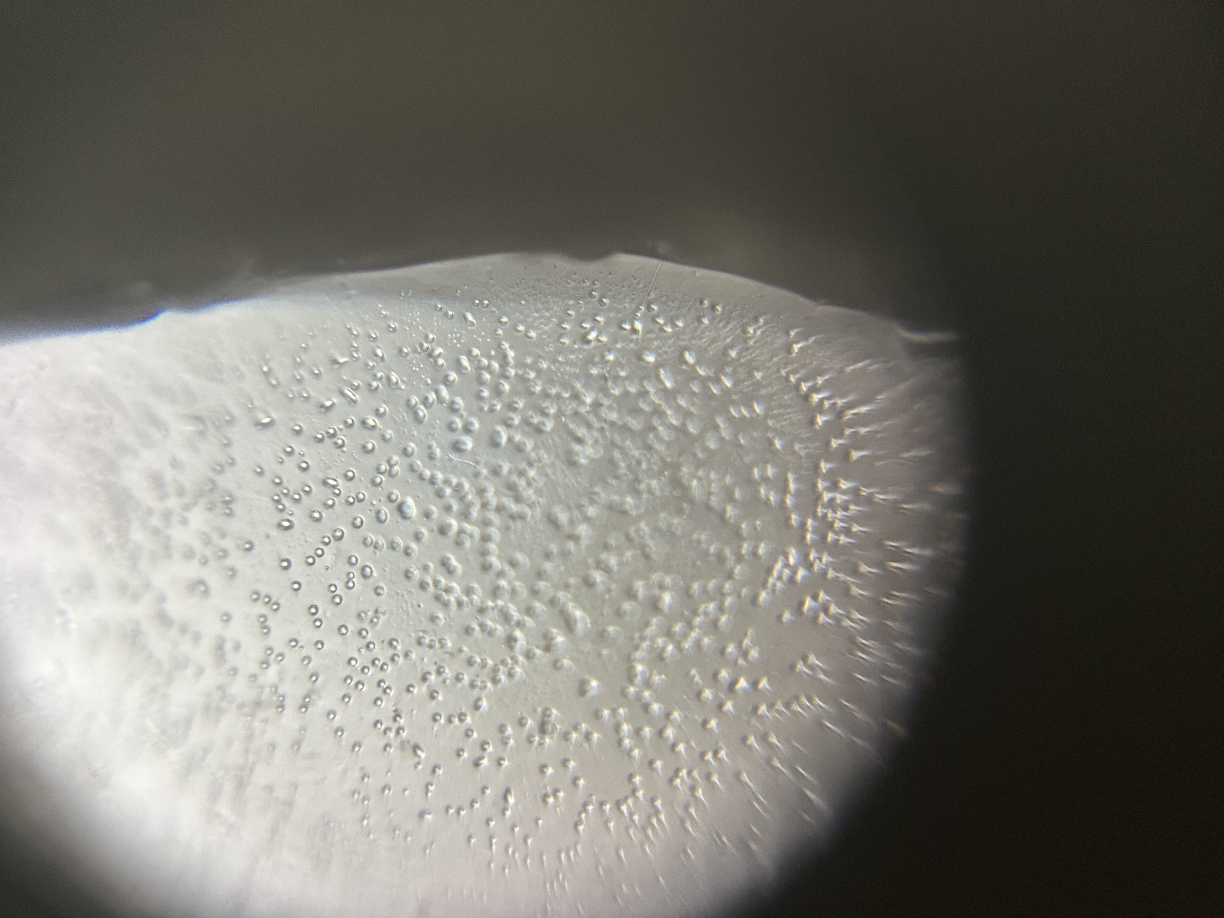 post_media%2FHrk0G2SEiCb2Z3XifjOhzr4uYQ62%2Fnopid%2Fiuac1nz13d_IMG_6821.jpeg?alt=media&token=7896354b-5d66-4025-8ed6-6c8b881b0ccf