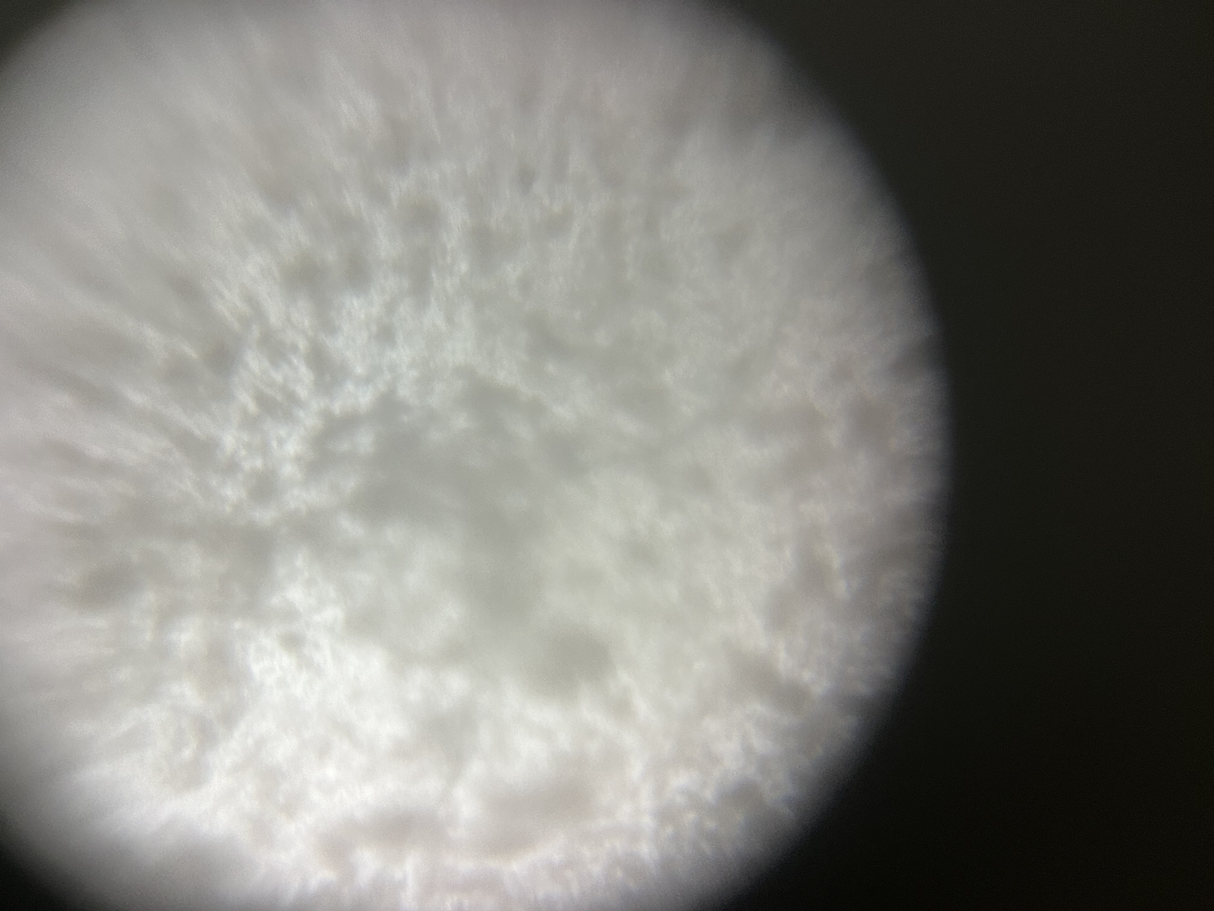 post_media%2FHrk0G2SEiCb2Z3XifjOhzr4uYQ62%2Fnopid%2Fs16j1m98om_IMG_6787.jpeg?alt=media&token=603cd57d-27d2-4227-b74b-eab8bf4c0aea