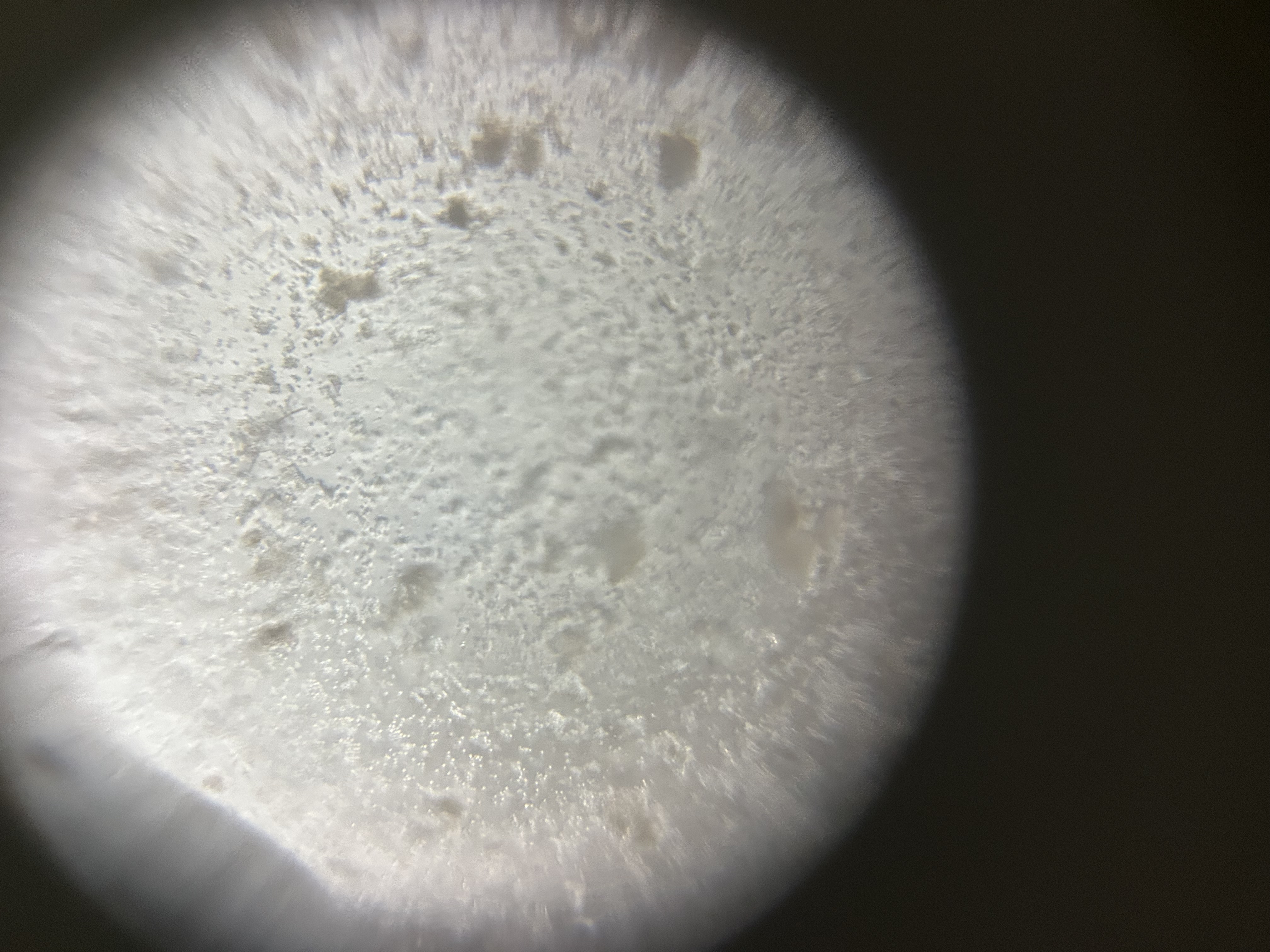 post_media%2FHrk0G2SEiCb2Z3XifjOhzr4uYQ62%2Fnopid%2Fyf5sgyijbx_IMG_6816.jpeg?alt=media&token=05455032-3eba-4477-8fa4-2519e2d4aecd