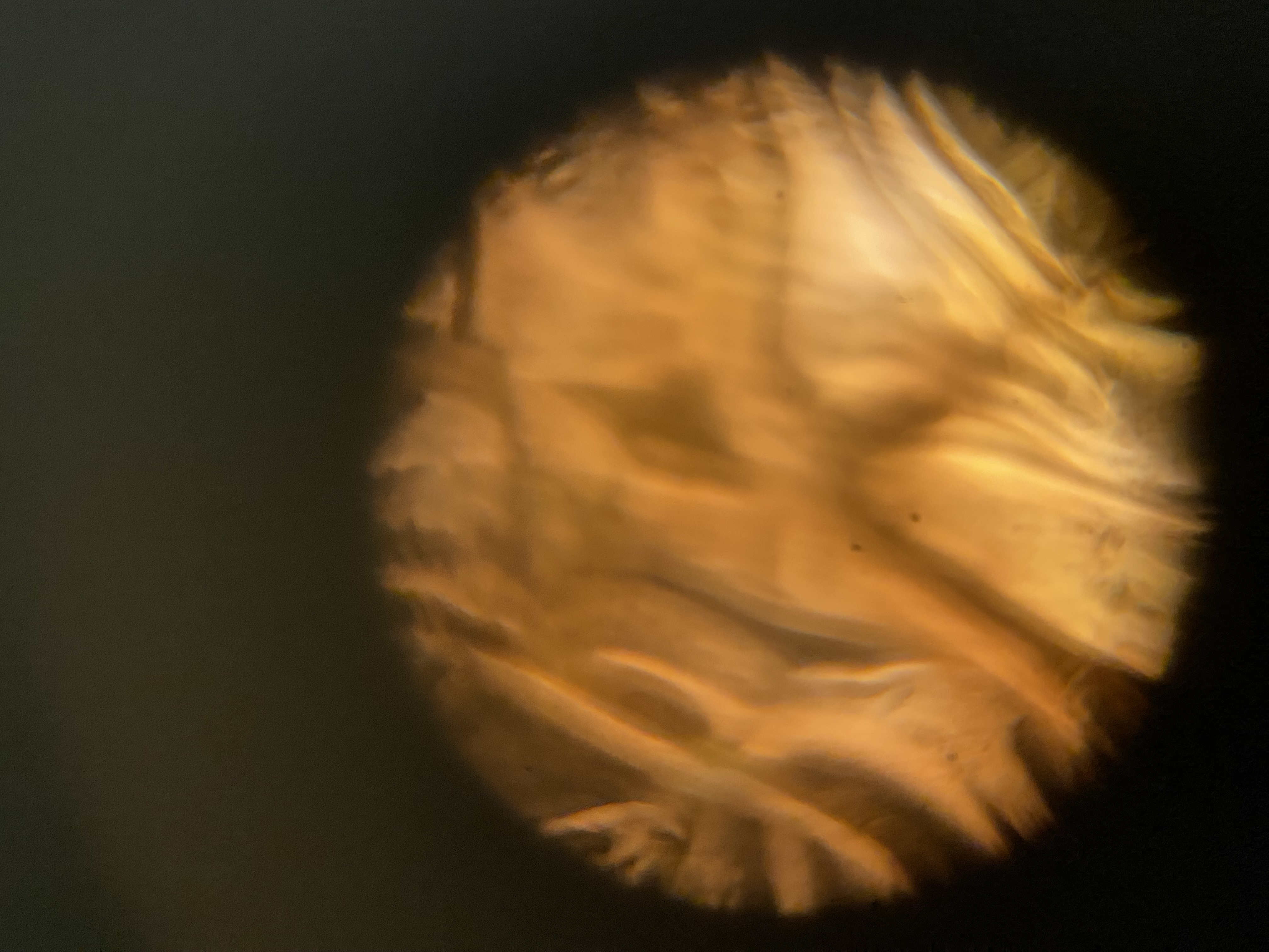 post_media%2FK2nfFGmEk9gf2WSVhaSM01jp6Fs1%2Fnopid%2F4e02i9i8jq_DF%20Pic%203.jpeg?alt=media&token=ce4c356a-1b39-4bca-824a-f89c96b58b77