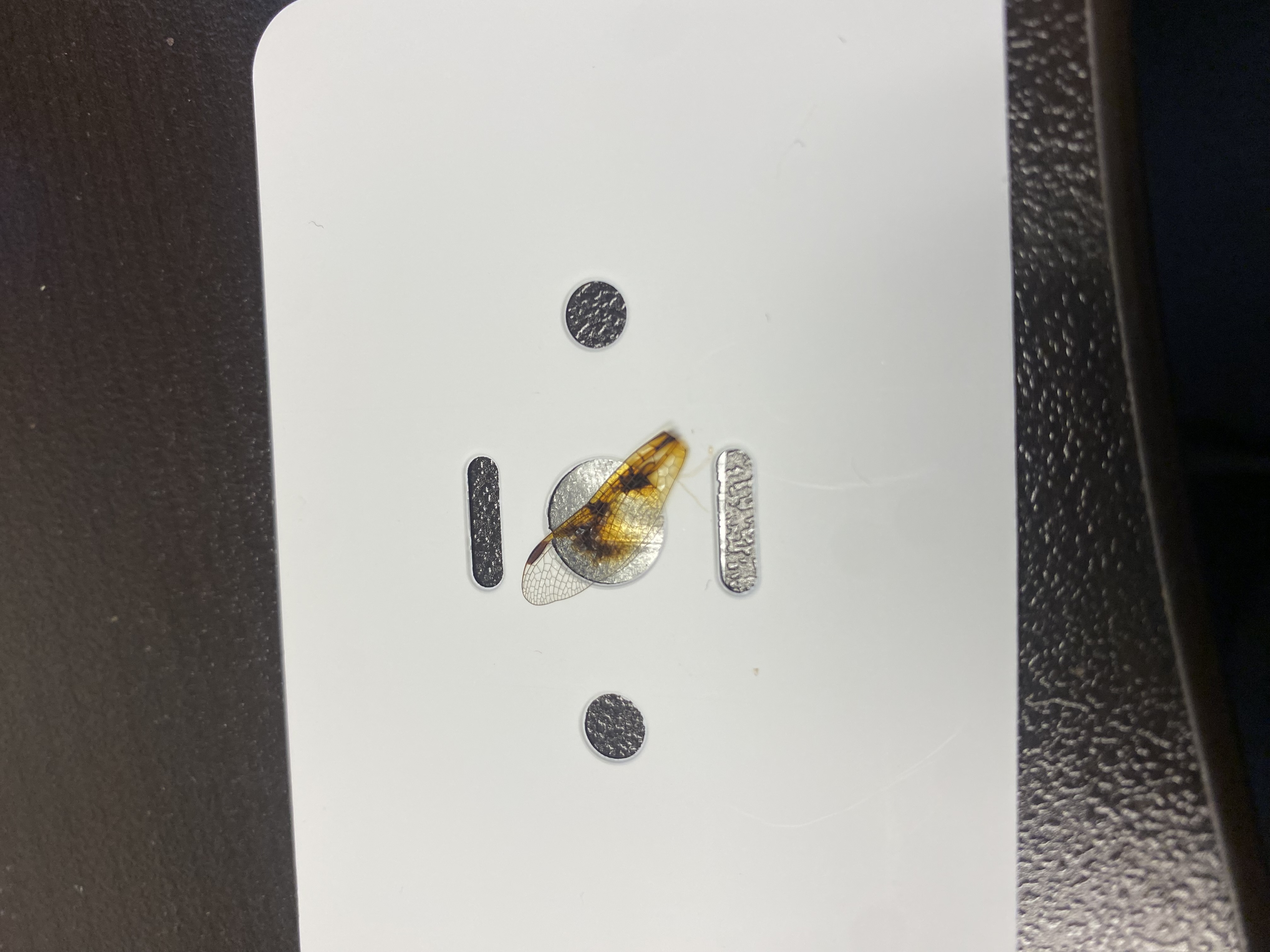 post_media%2FK2nfFGmEk9gf2WSVhaSM01jp6Fs1%2Fnopid%2Fbxm9kgxacn_DF%20Pic%202.jpeg?alt=media&token=ef3e9da1-9041-4be8-93d8-58d9372513eb