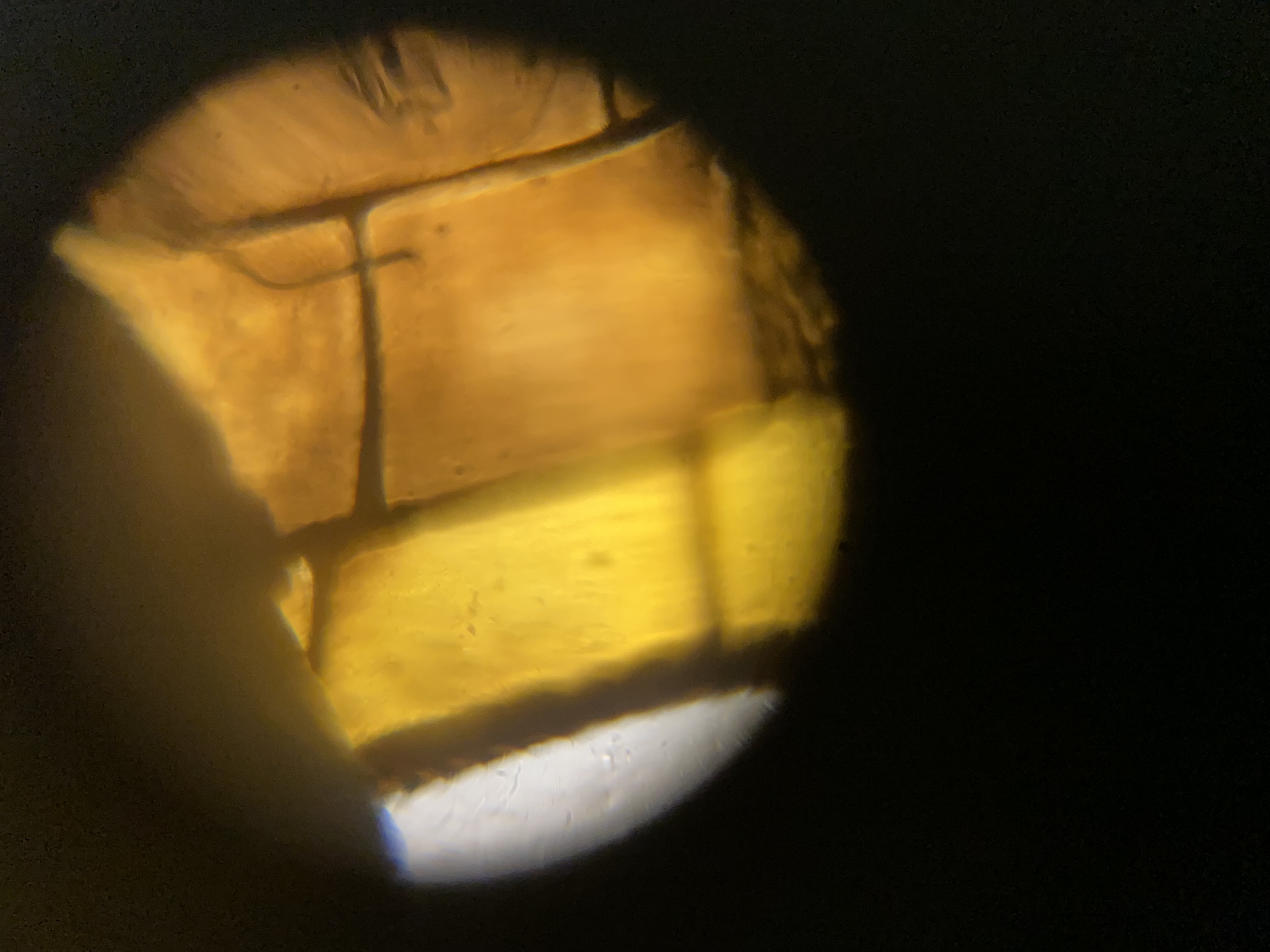 post_media%2FK2nfFGmEk9gf2WSVhaSM01jp6Fs1%2Fnopid%2Fwmyaxk0s58_DF%20Pic%205.jpeg?alt=media&token=2fa770a0-aabc-4455-a53a-54fa426b0a7e