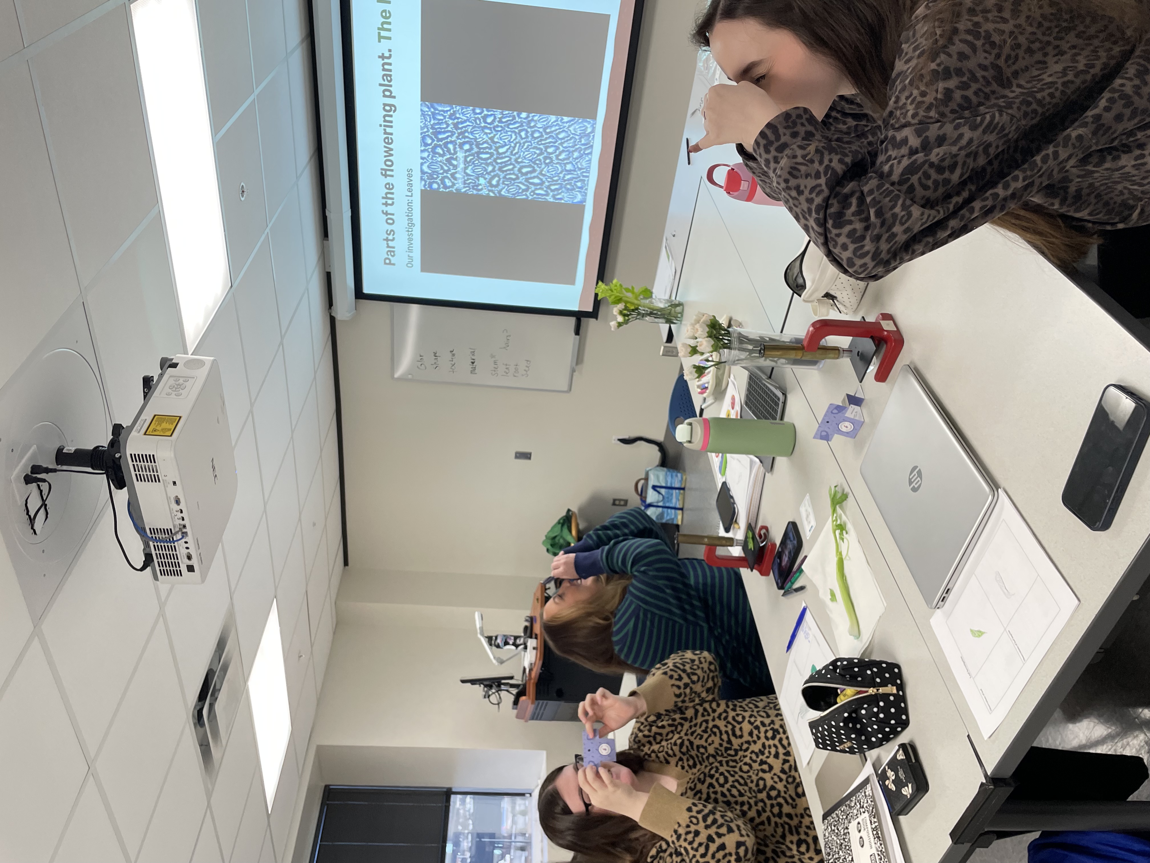 post_media%2FKamt6gLGAmUhedOYJjQD5Vez2TE3%2Fnopid%2Frprj2h7owm_IMG_4791.jpeg?alt=media&token=1468a271-ceb4-4df7-b2b0-50cb6fdc79d2